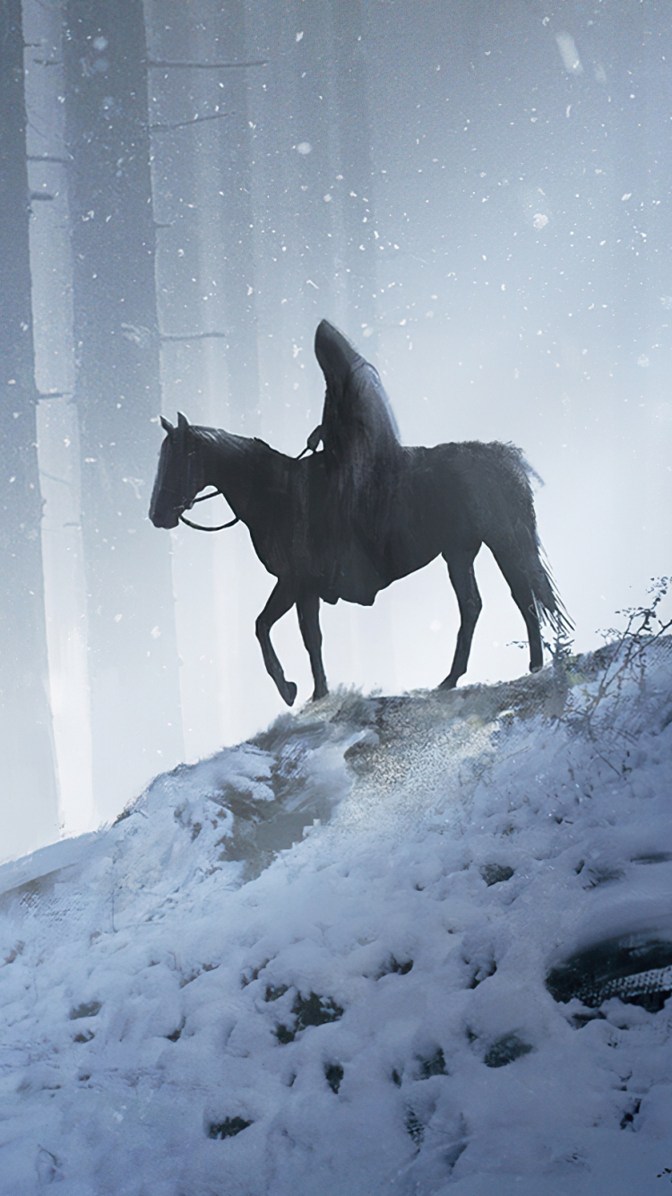 Download wallpaper 750x1334 man