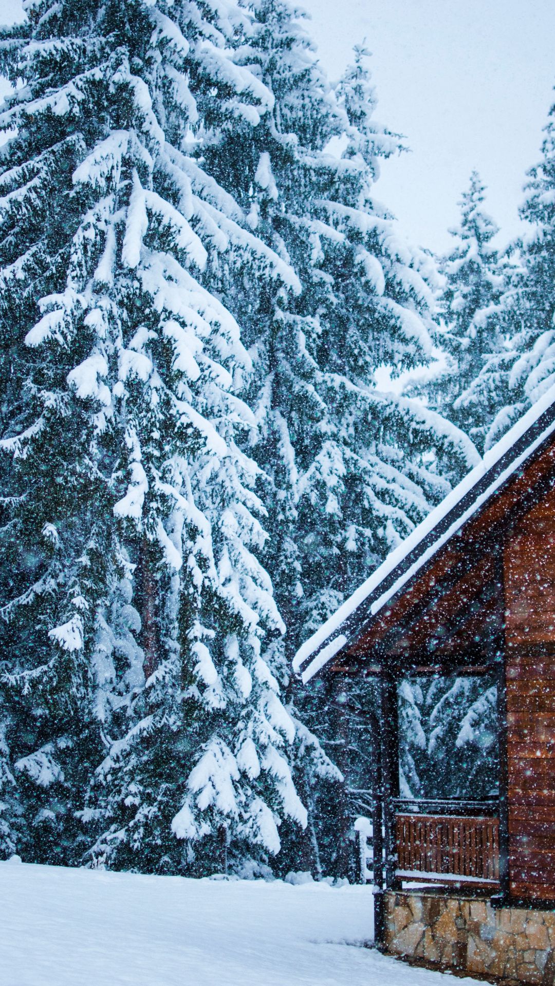 Snowfall, house, tree, snow layer, winter wallpaper