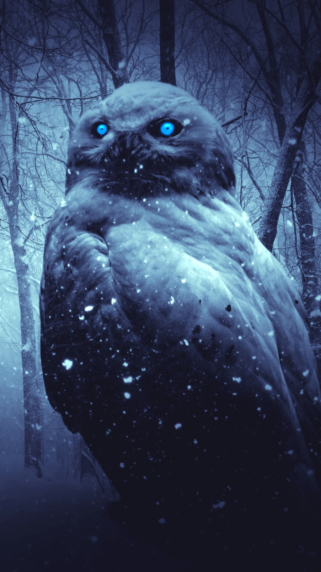 Owl in a Dark Winter Forest