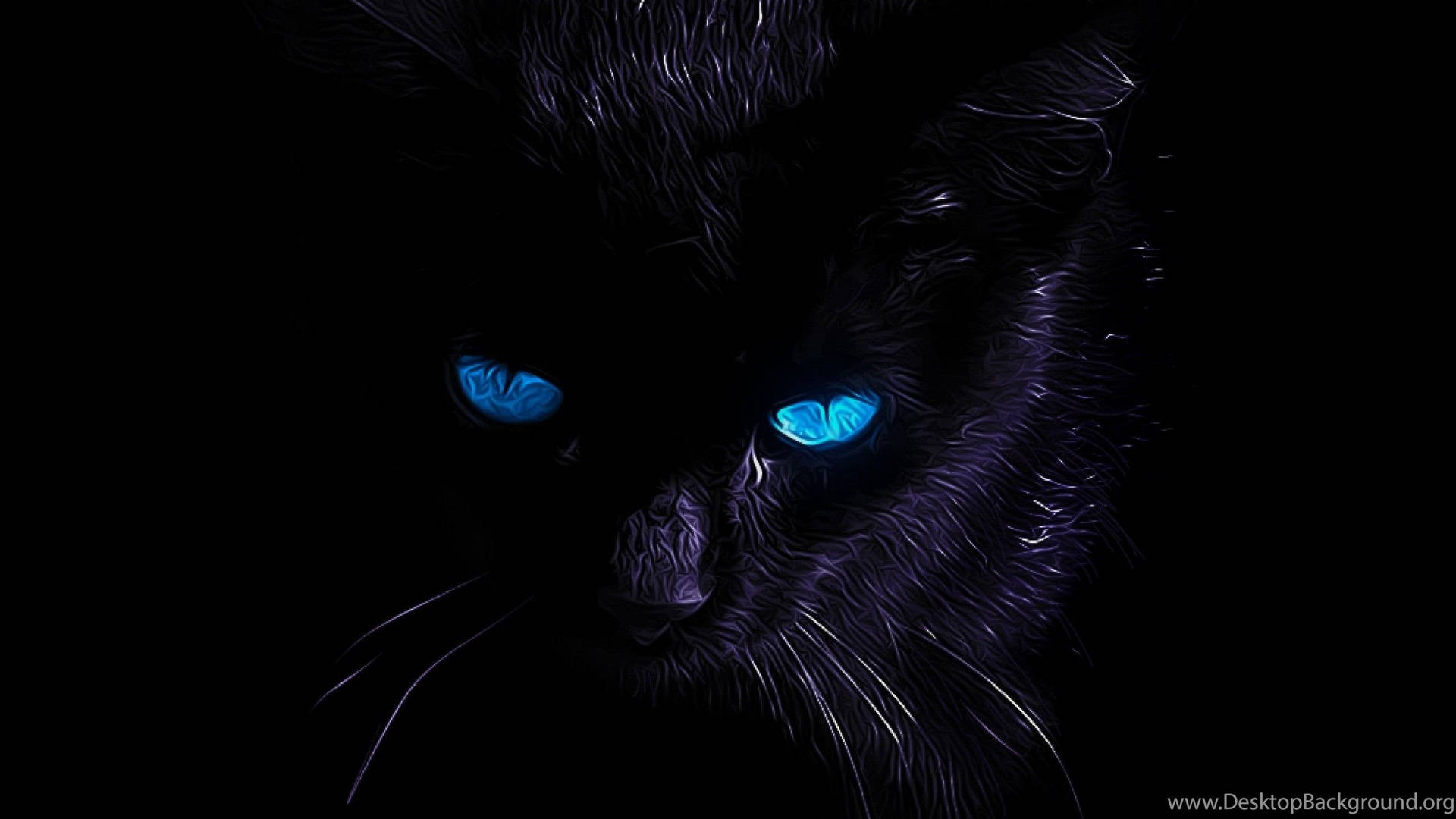 Black Cat Wallpaper