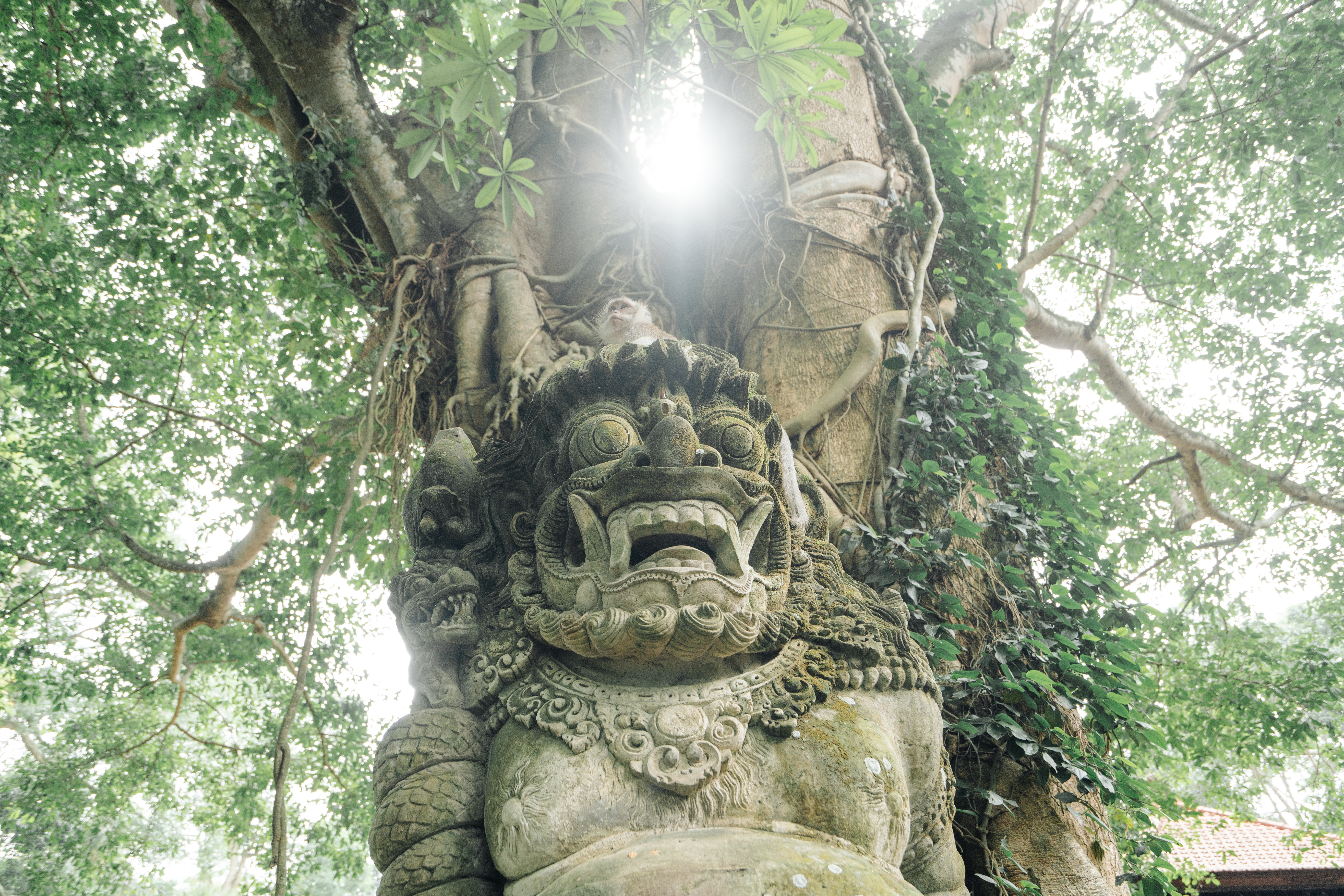 Statue of mythical creature in rainforest · Free