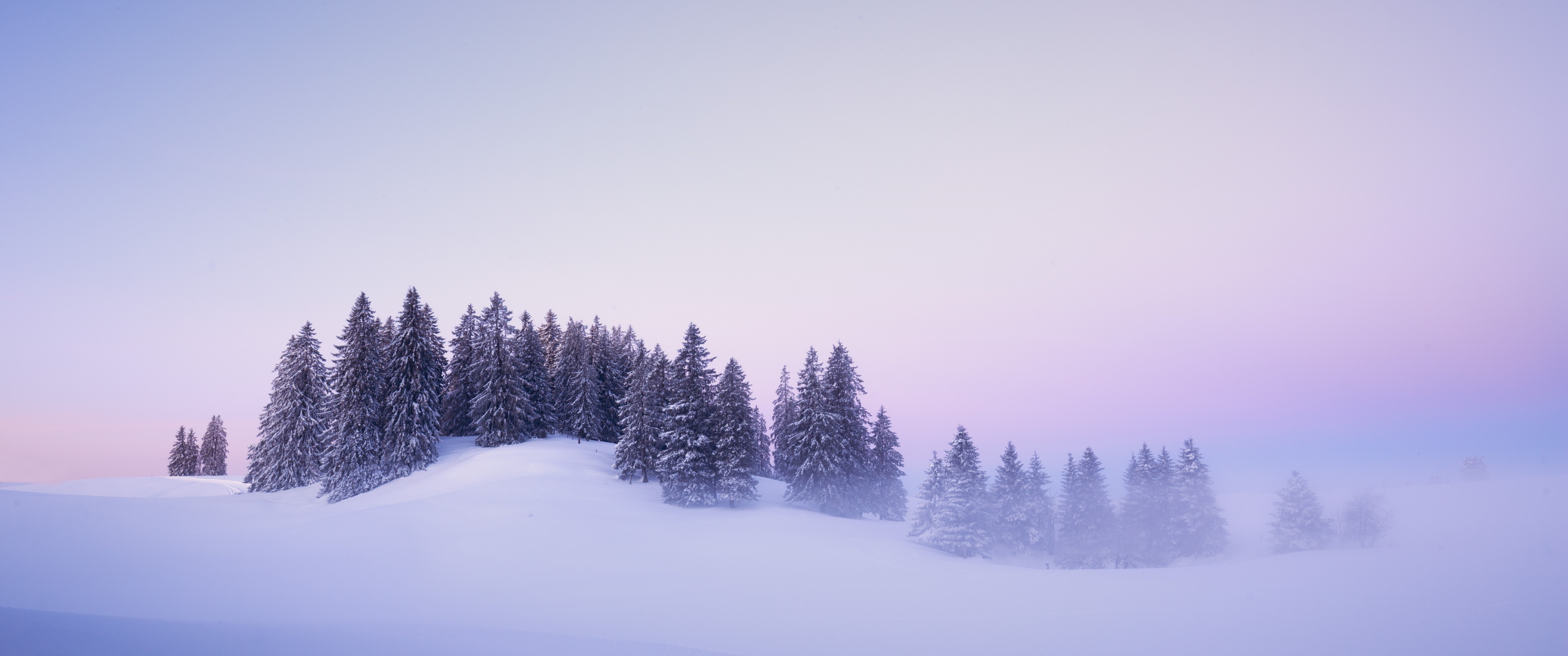 Winter Wallpaper 4K, Snow covered, Foggy, Trees