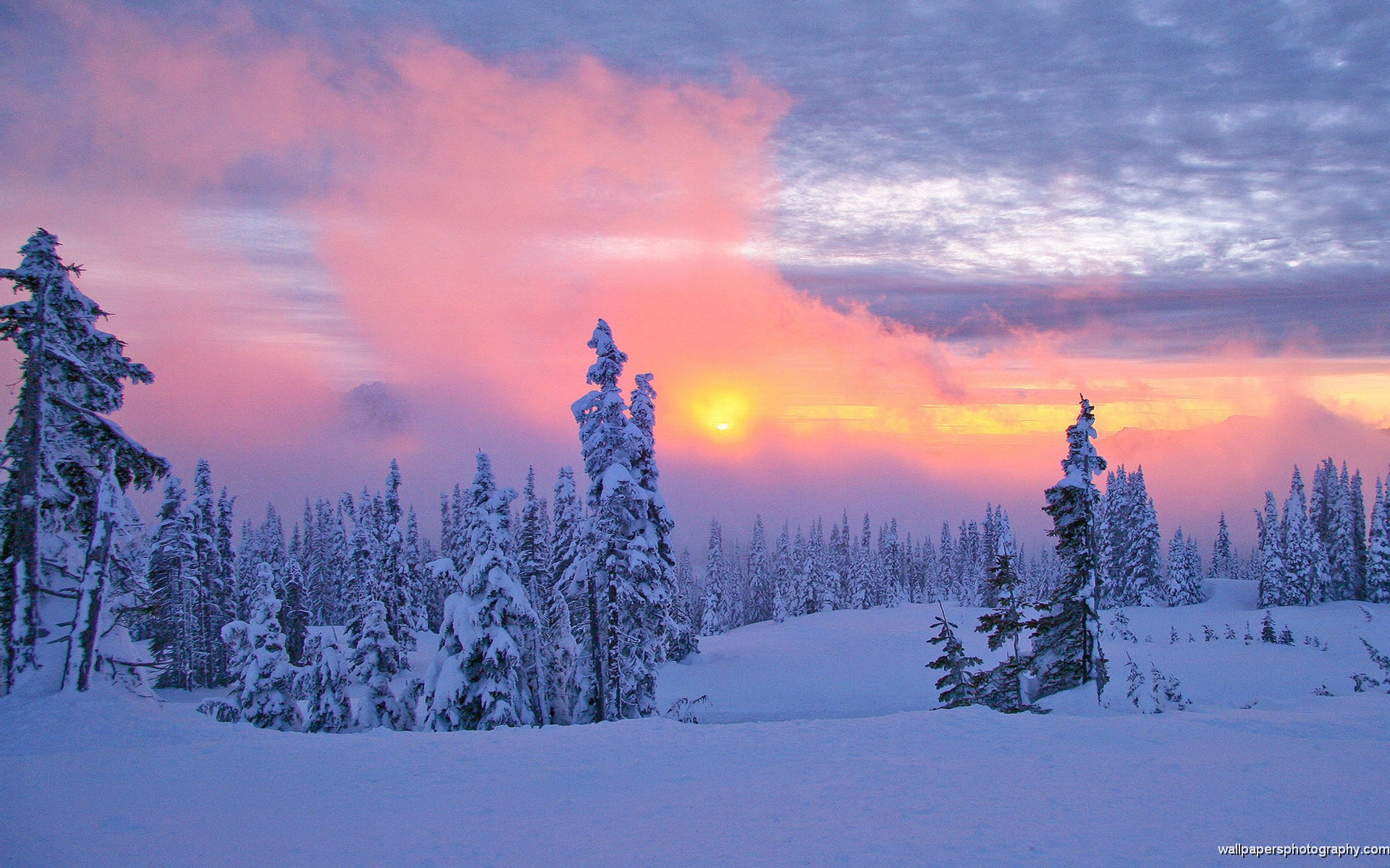 Free download Snow Scenes Art Prints and Poster Buy a Poster [1920x1200] for your Desktop, Mobile & Tablet. Explore Free HD Wallpaper Winter Scene. Winter Scene Wallpaper Free, Free