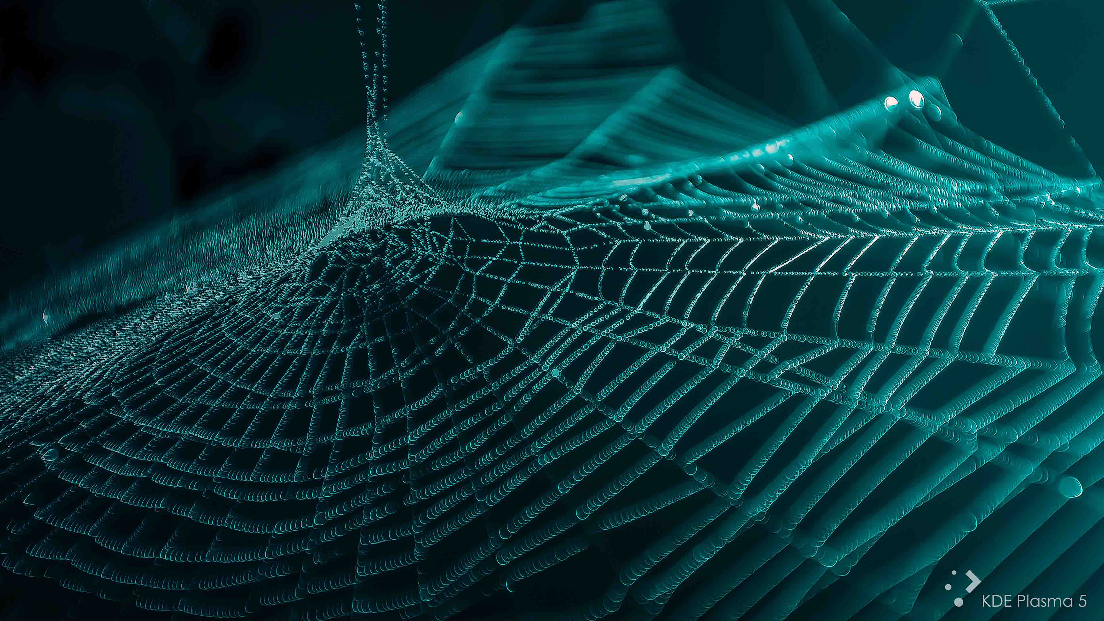 Spider web Closeup 4K Wallpaper