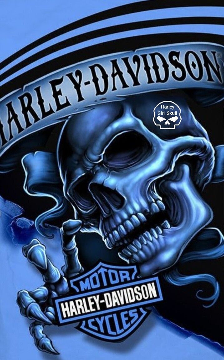 harley davidson skull logo wallpaper