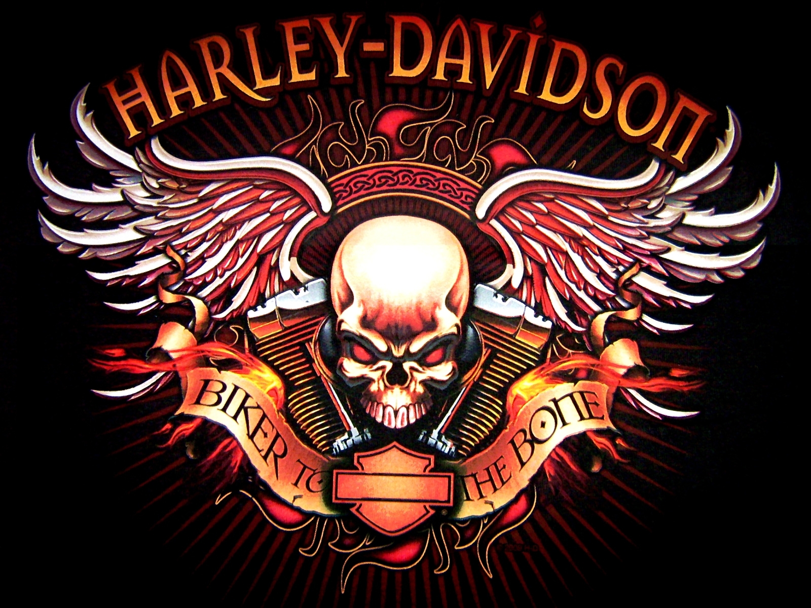 Harley Davidson logo skull bikes motorcycle wallpaperx1200