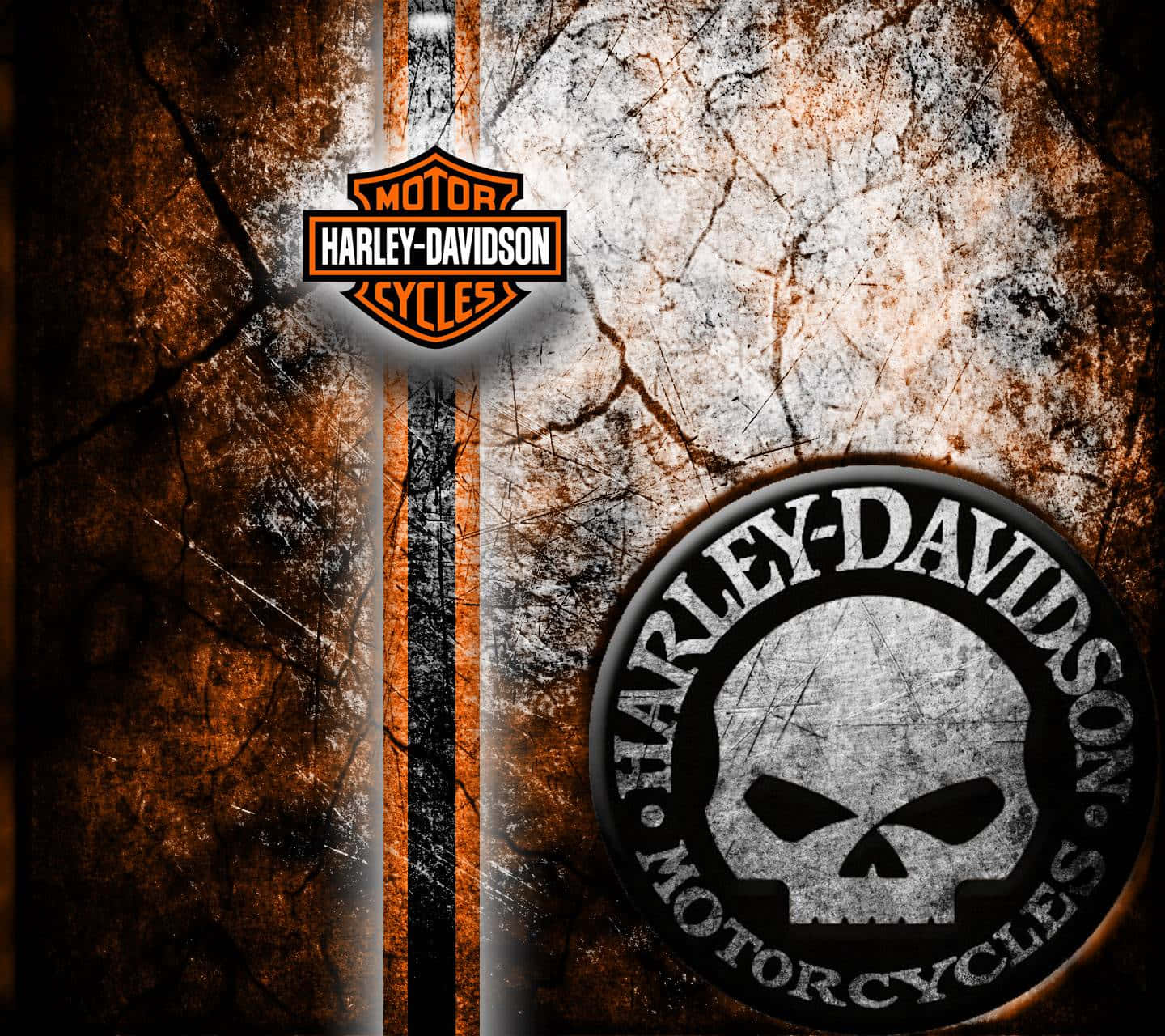 Download Harley Davidson Motorcycle Skull Logo Background