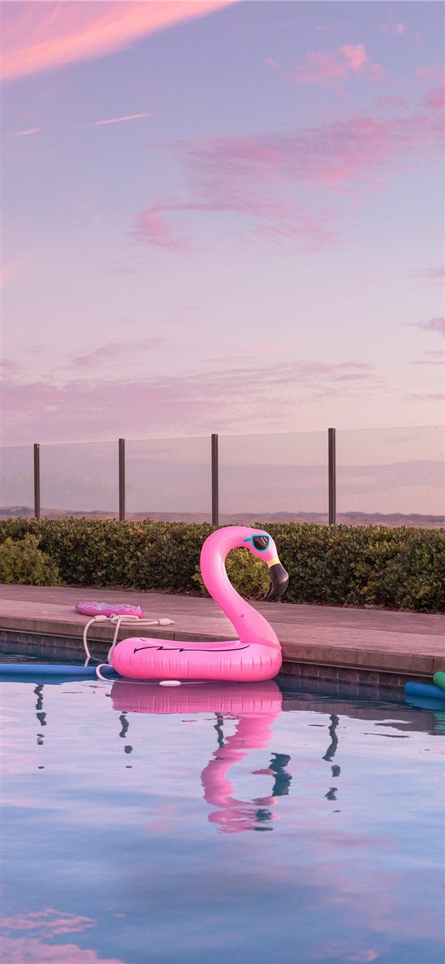 Tomorrow is Saturday Inflatables. iPhone background wallpaper, Phone wallpaper, Funny iphone wallpaper