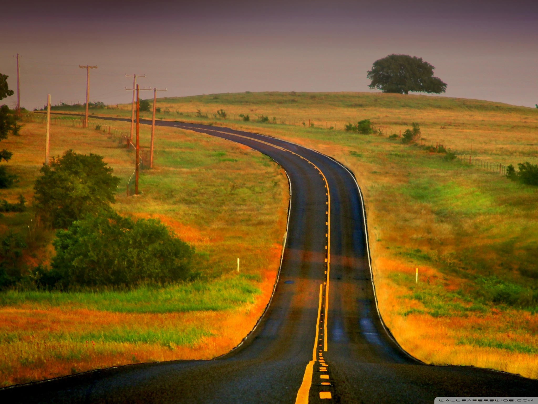 Curved Road Ultra HD Desktop Background Wallpaper for 4K UHD TV, Multi Display, Dual Monitor, Tablet