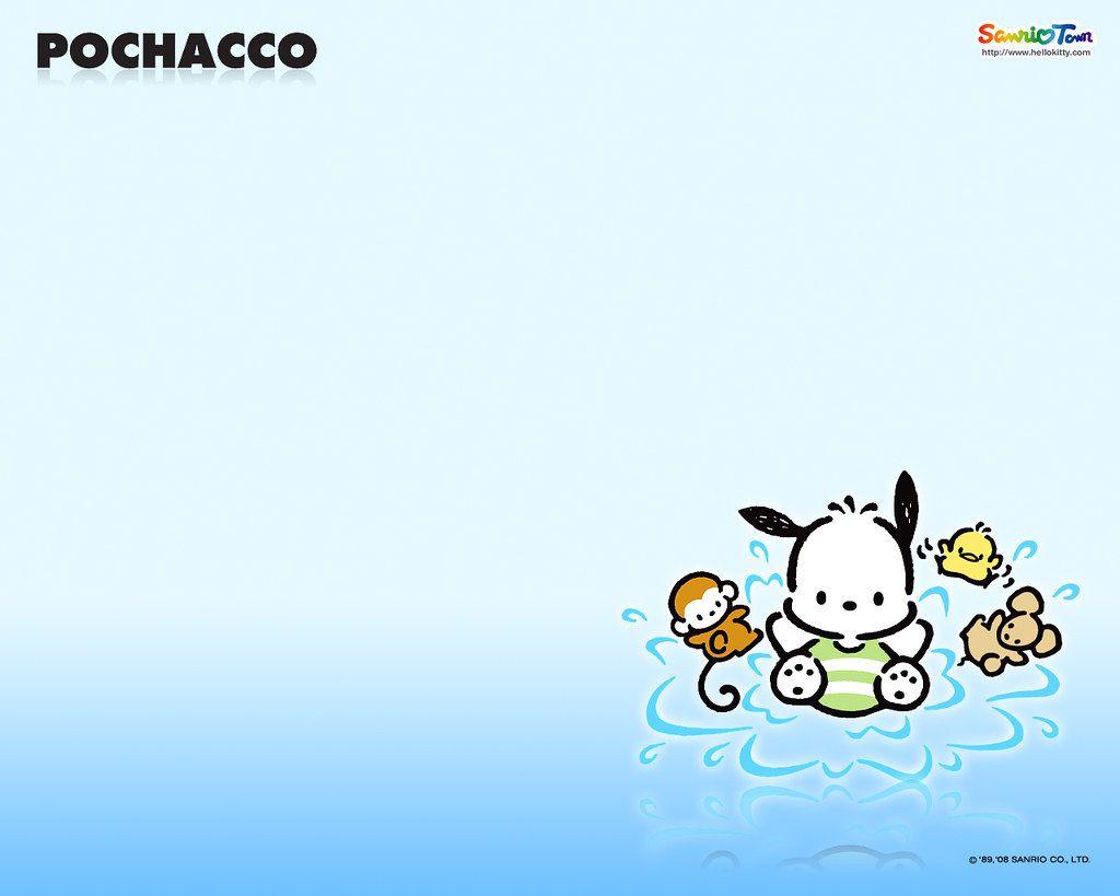 Pochacco. Hello Kitty Stuff