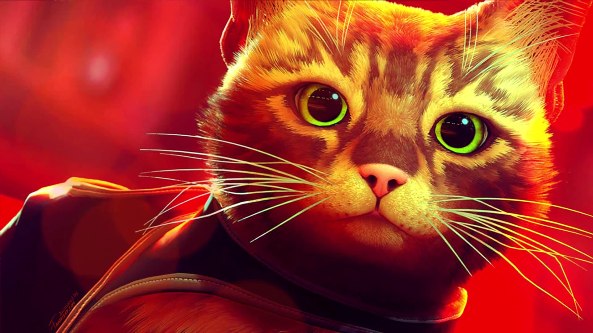 Stray (Game) Animated Wallpaper