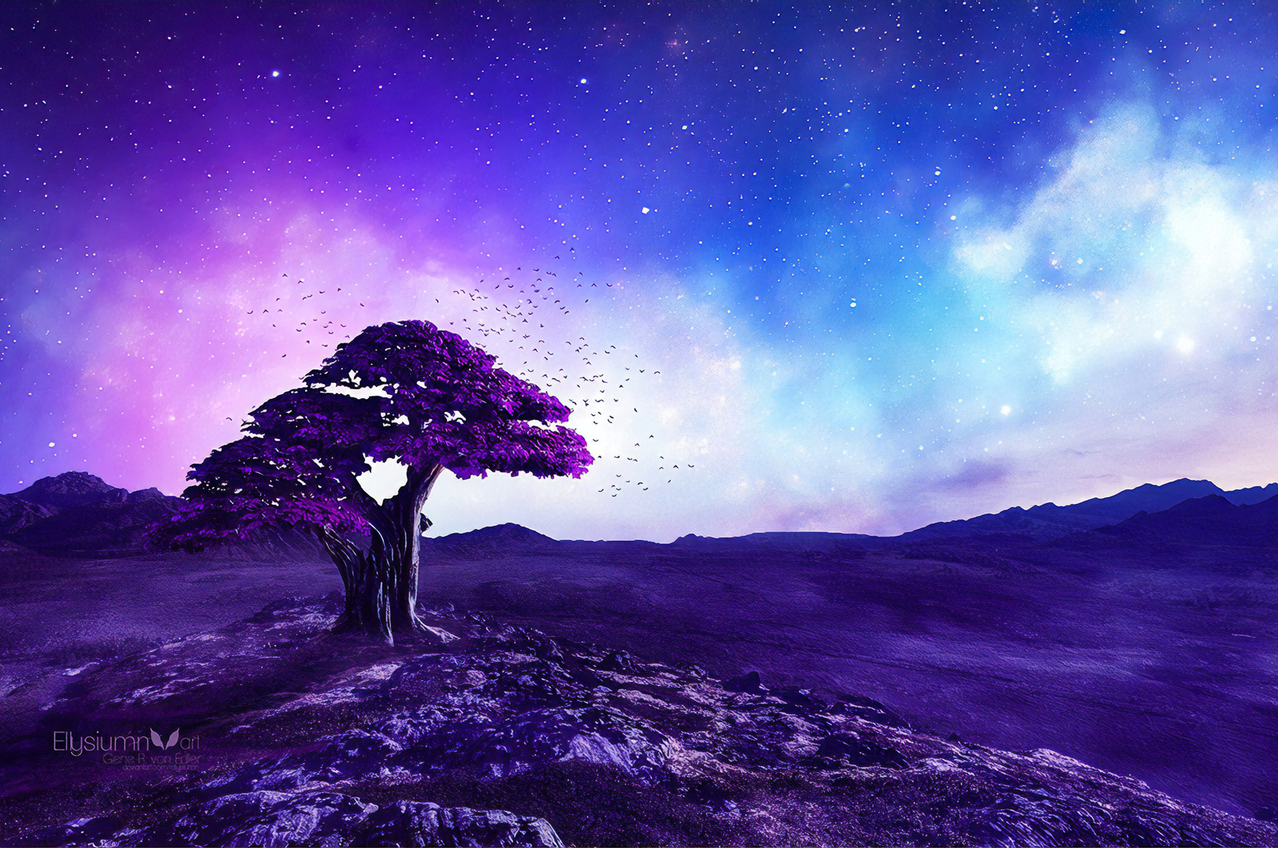 Purple Tree Stories Chromebook Pixel HD 4k Wallpaper, Image, Background, Photo and Picture