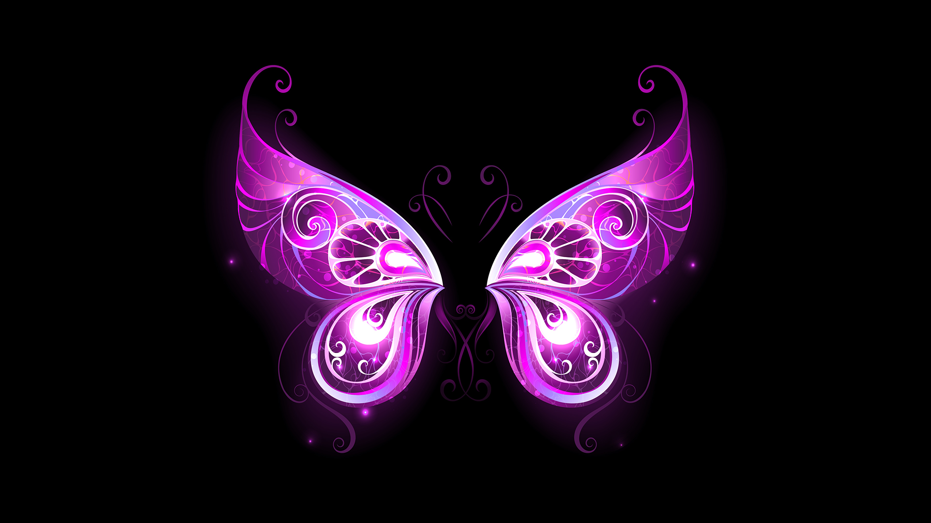 Purple Fairy Wings Wallpaper For Chromebook