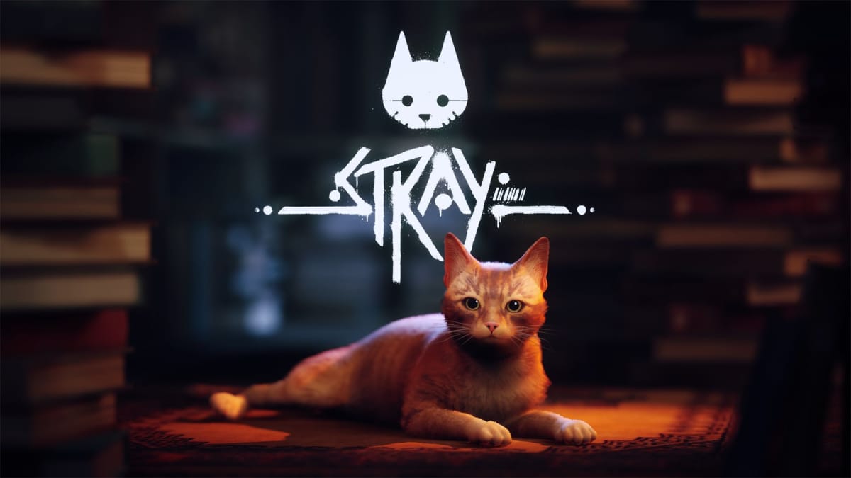 Stray Review