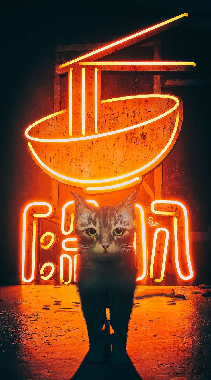 Stray Game Wallpaper. Stray cat, Kitty games, Stray