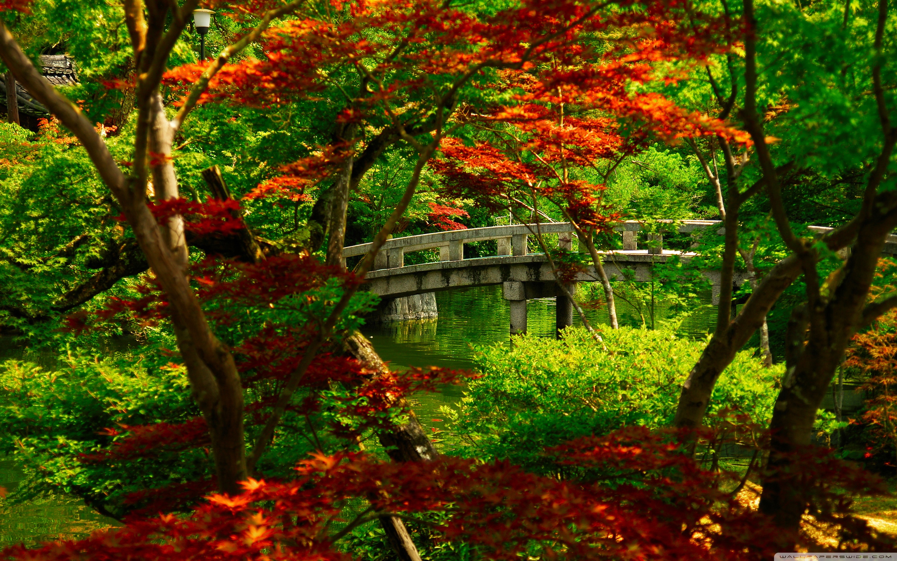 Japanese Garden (Kyoto) Ultra HD Desktop Background Wallpaper for 4K UHD TV, Widescreen & UltraWide Desktop & Laptop, Multi Display, Dual Monitor, Tablet