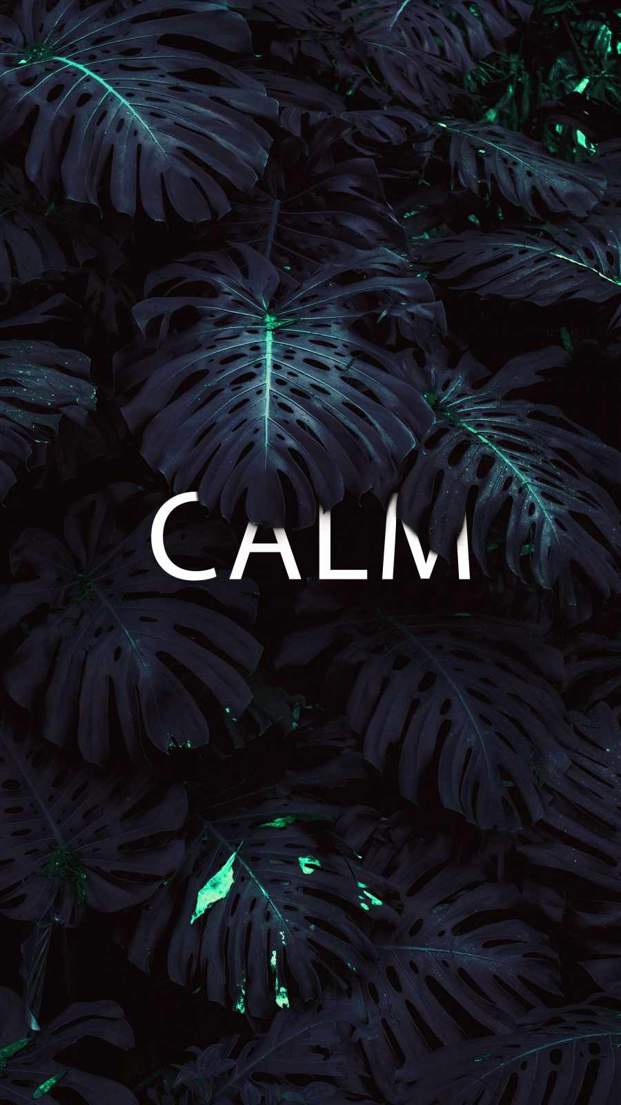 Calm Nature iPhone Wallpaper