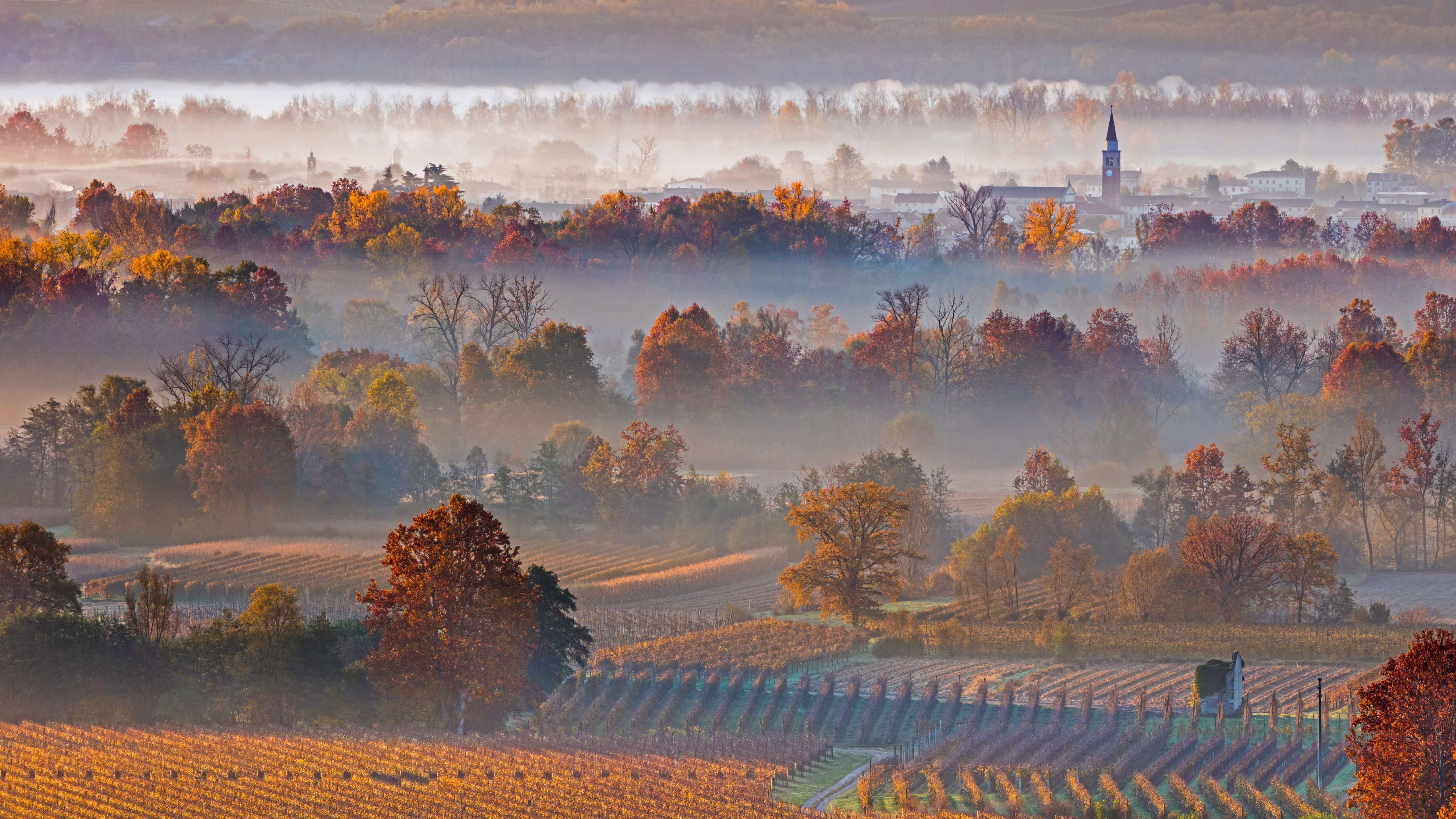 Wallpaper Europe, autumn, fog, trees, 8K, Travel