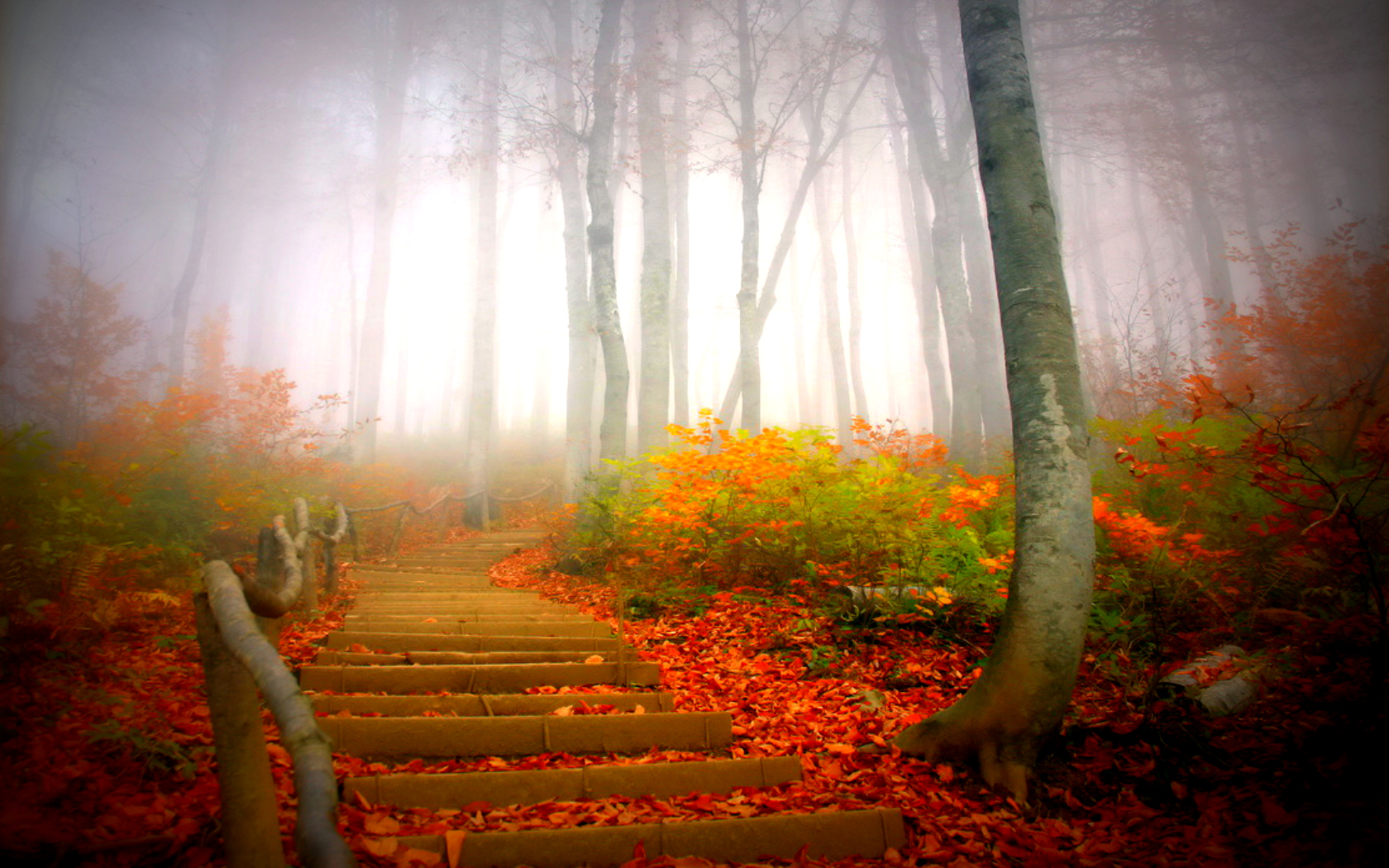 Mobile wallpaper: Stairs, Man Made, Fall, Fog, 193703 download the picture for free