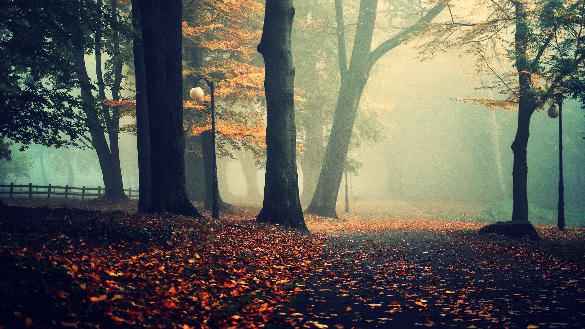 Nature Fog HD Wallpaper