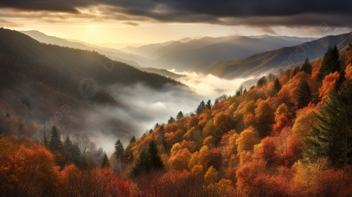 Sunrise In The Mountains With Trees And Fog With Clouds In The Foreground Background, Picture Of The Smoky Mountains Background Image And Wallpaper for Free Download