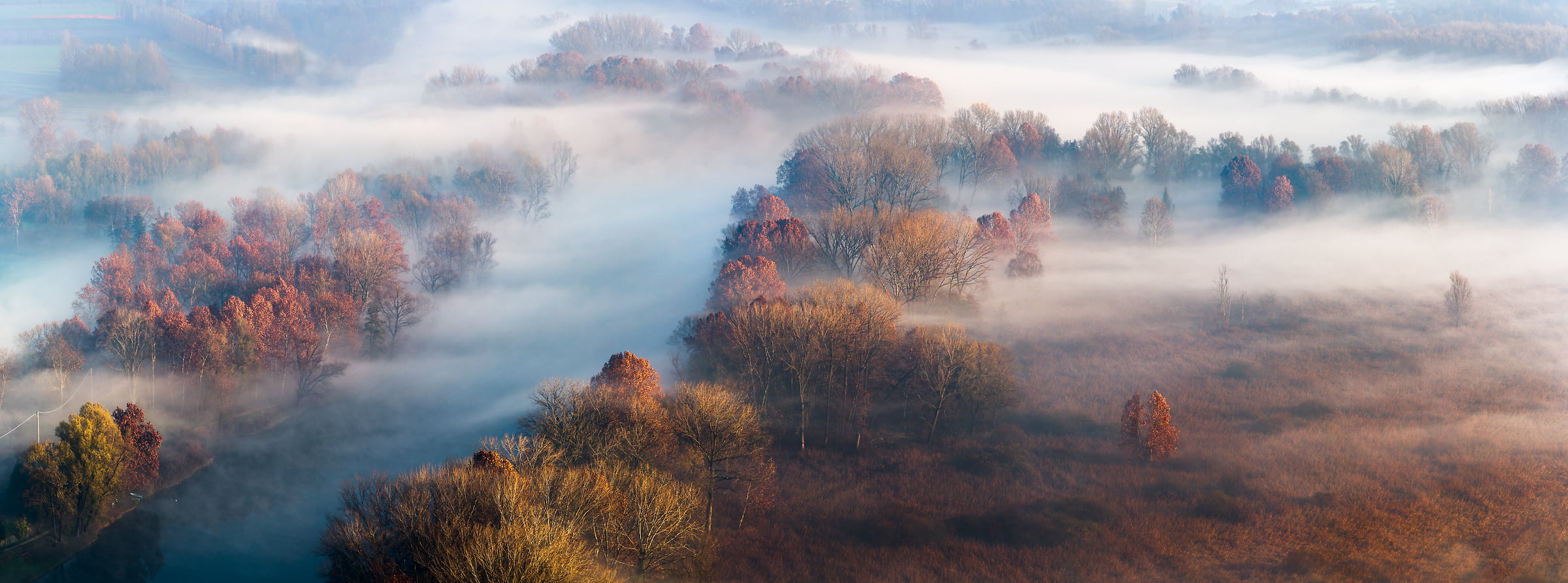 Autumn Fog Photo