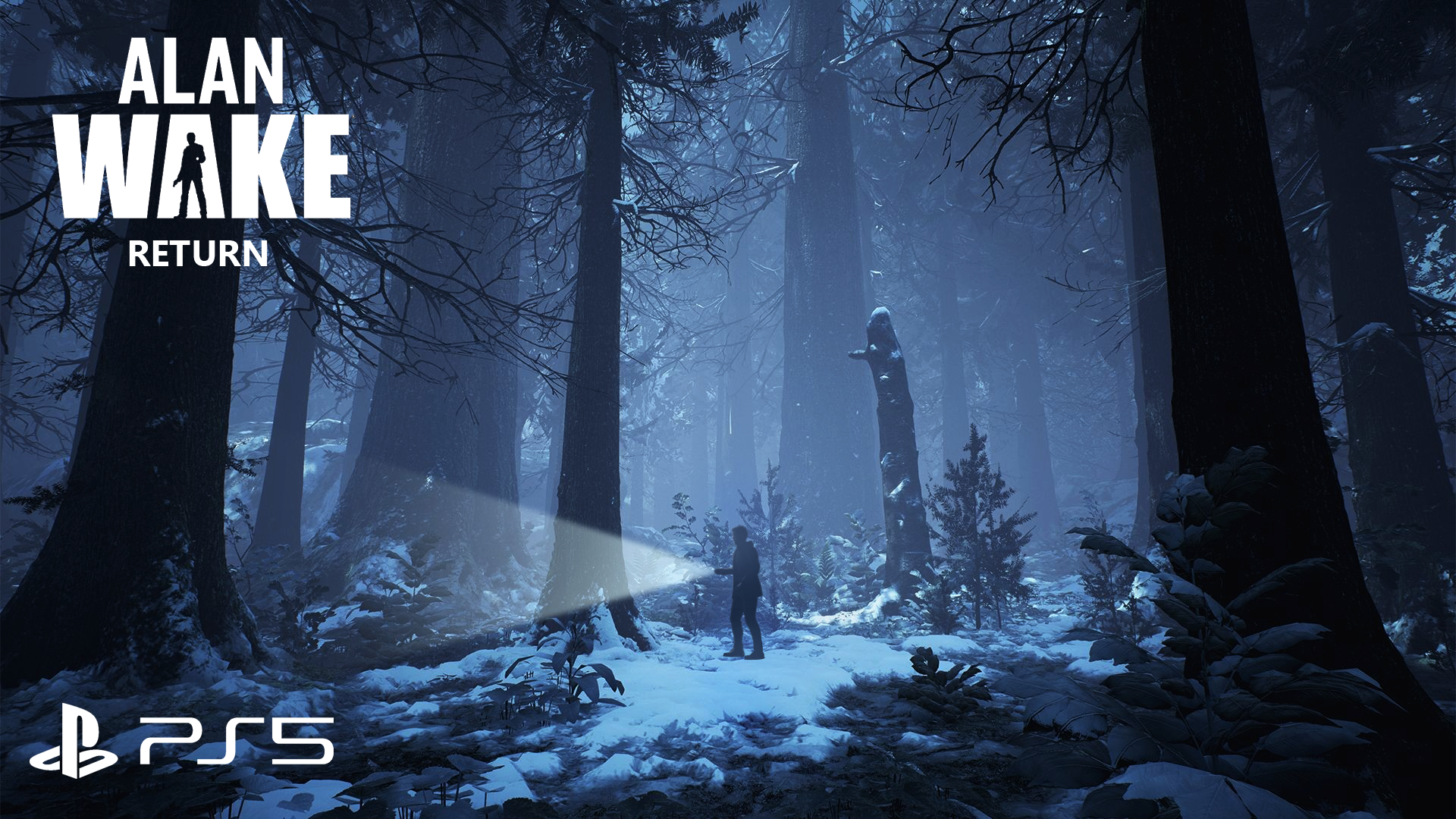 Alan Wake 2 fanart screenshot!