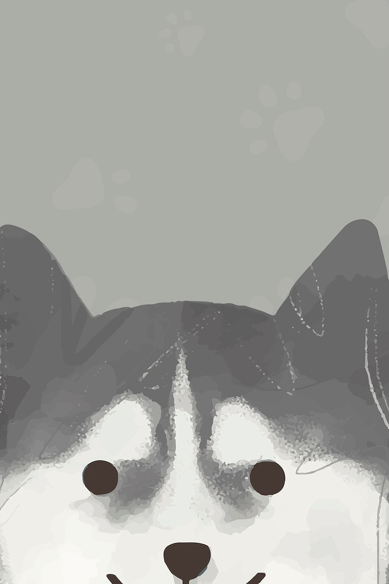 Siberian Husky Image Wallpaper