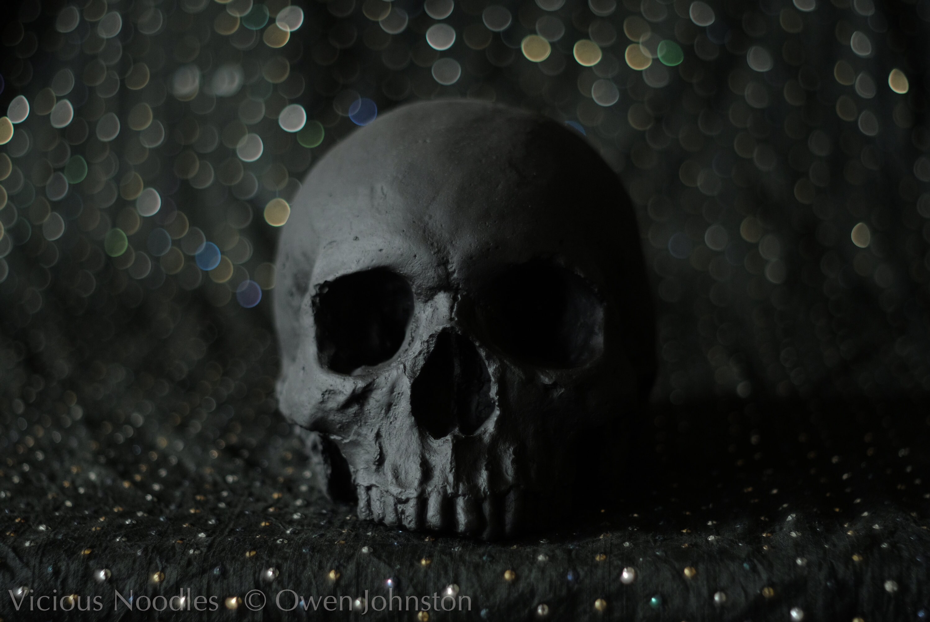 HUMAN SKULL REPLICA black Full Size Human Skull Replica Made