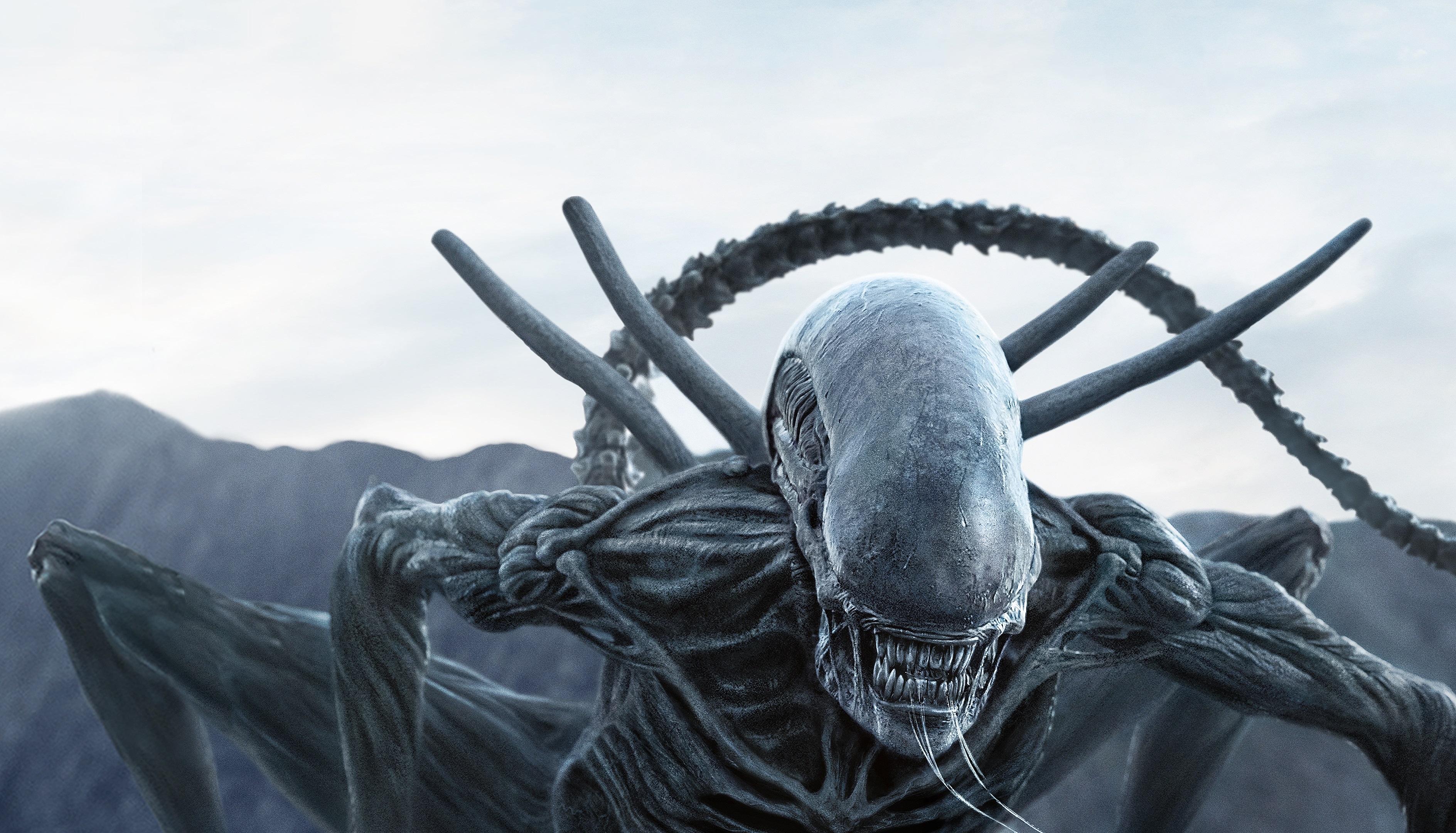 Alien In Alien Covenant, HD Movies, 4k Wallpaper, Image, Background, Photo and Picture