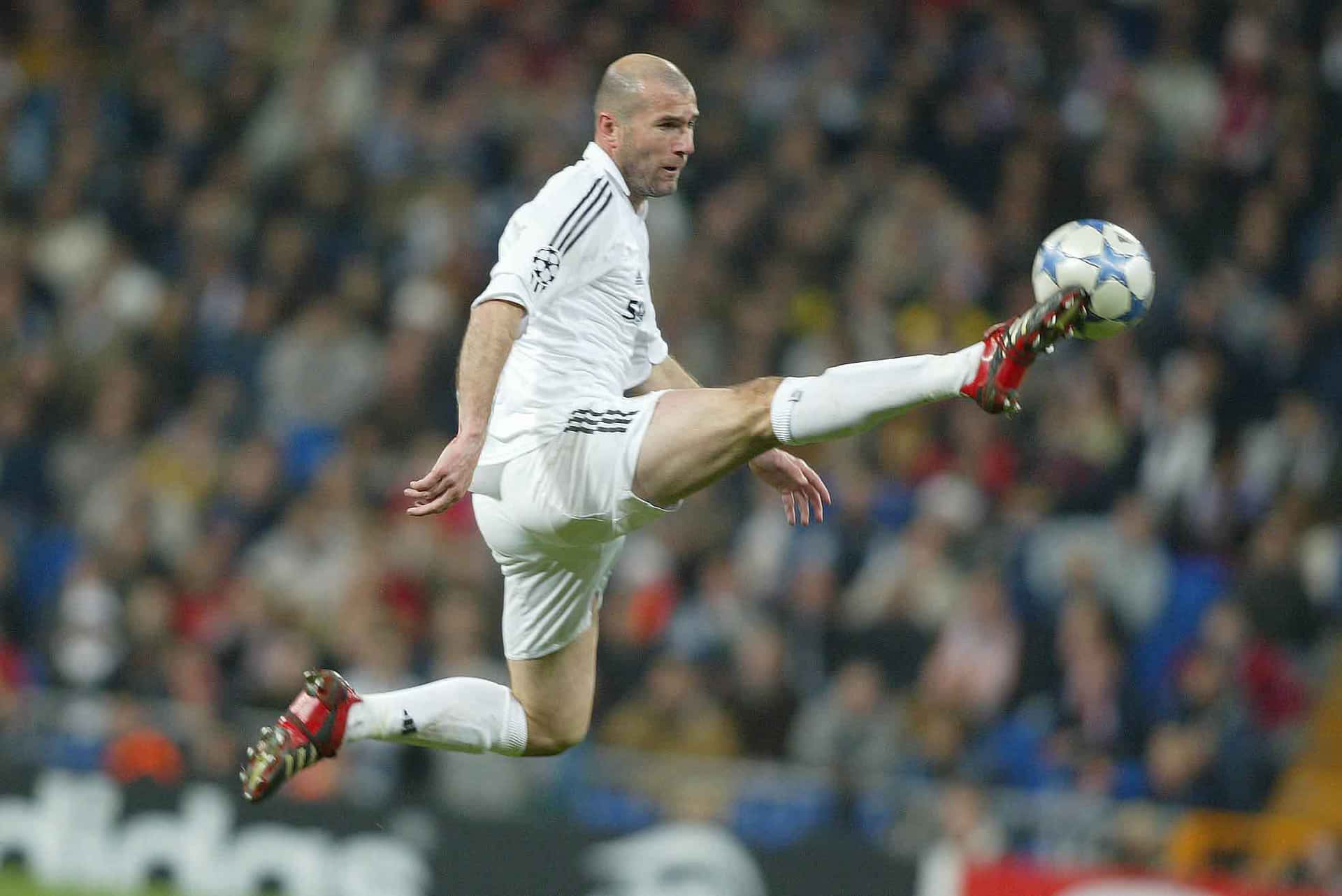 Download Zinedine Zidane Football High