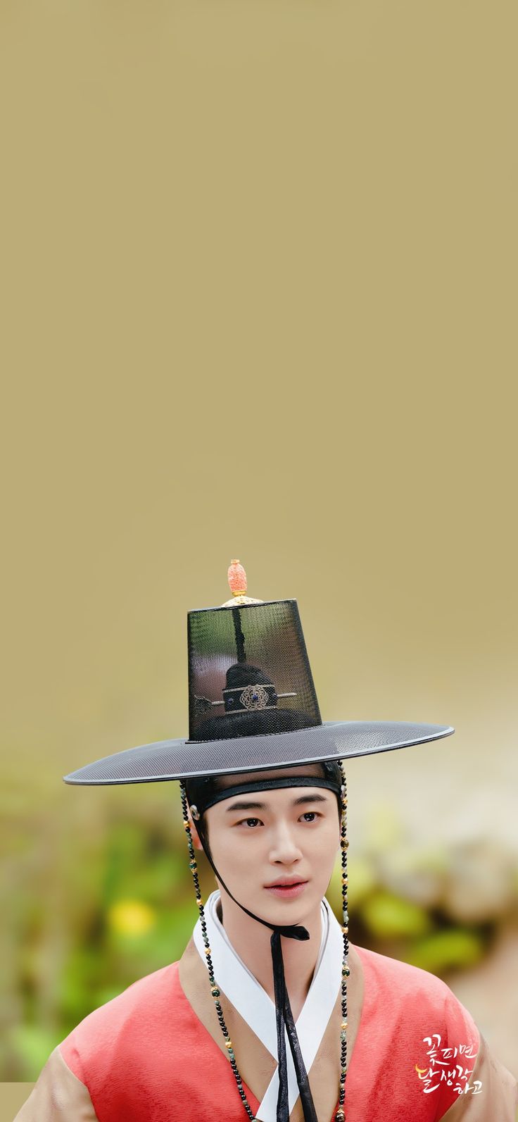 Moonshine Wallpaper