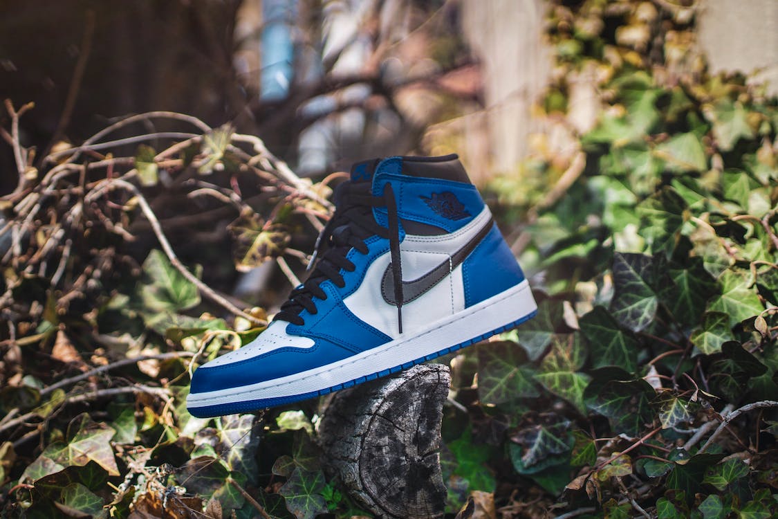 Blue and White Air Jordan 1 on Gray Wood Log at Daytime · Free