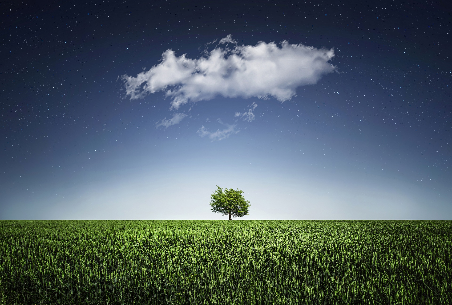 Beautiful World Nature Wallpaper