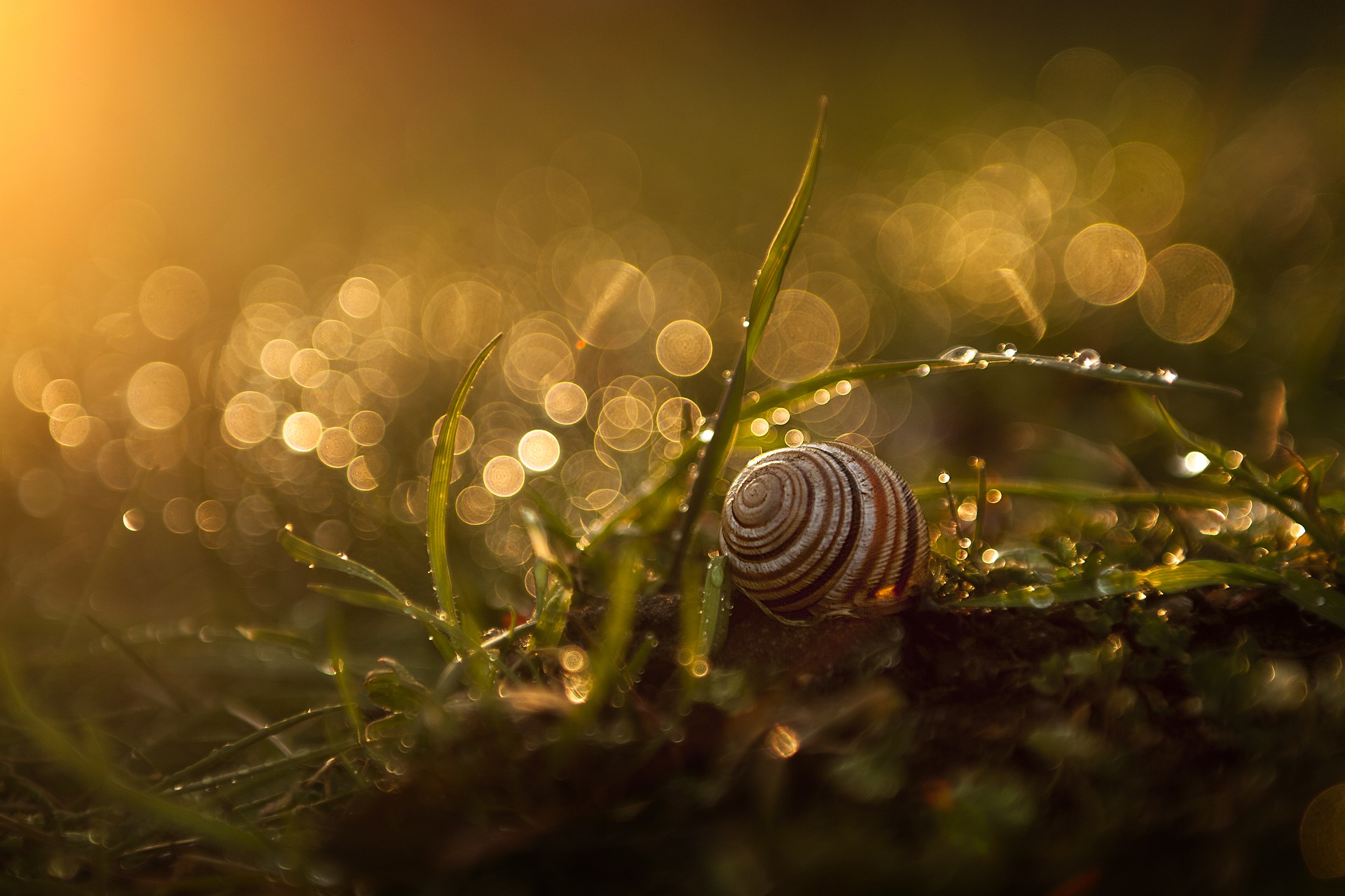 Beautiful World Nature Wallpaper
