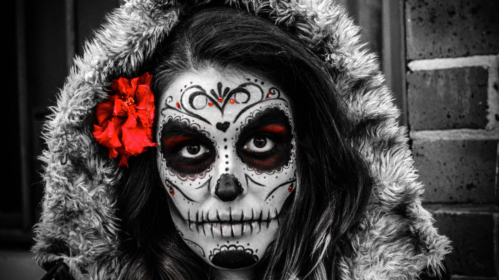 Download Sugar Skull Wallpaper