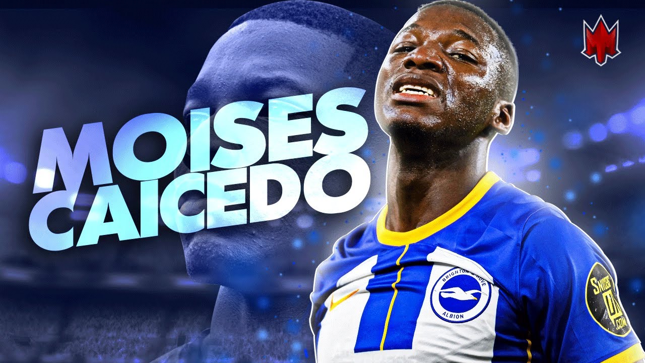 Moisés Caicedo 2023 to Chelsea Skills