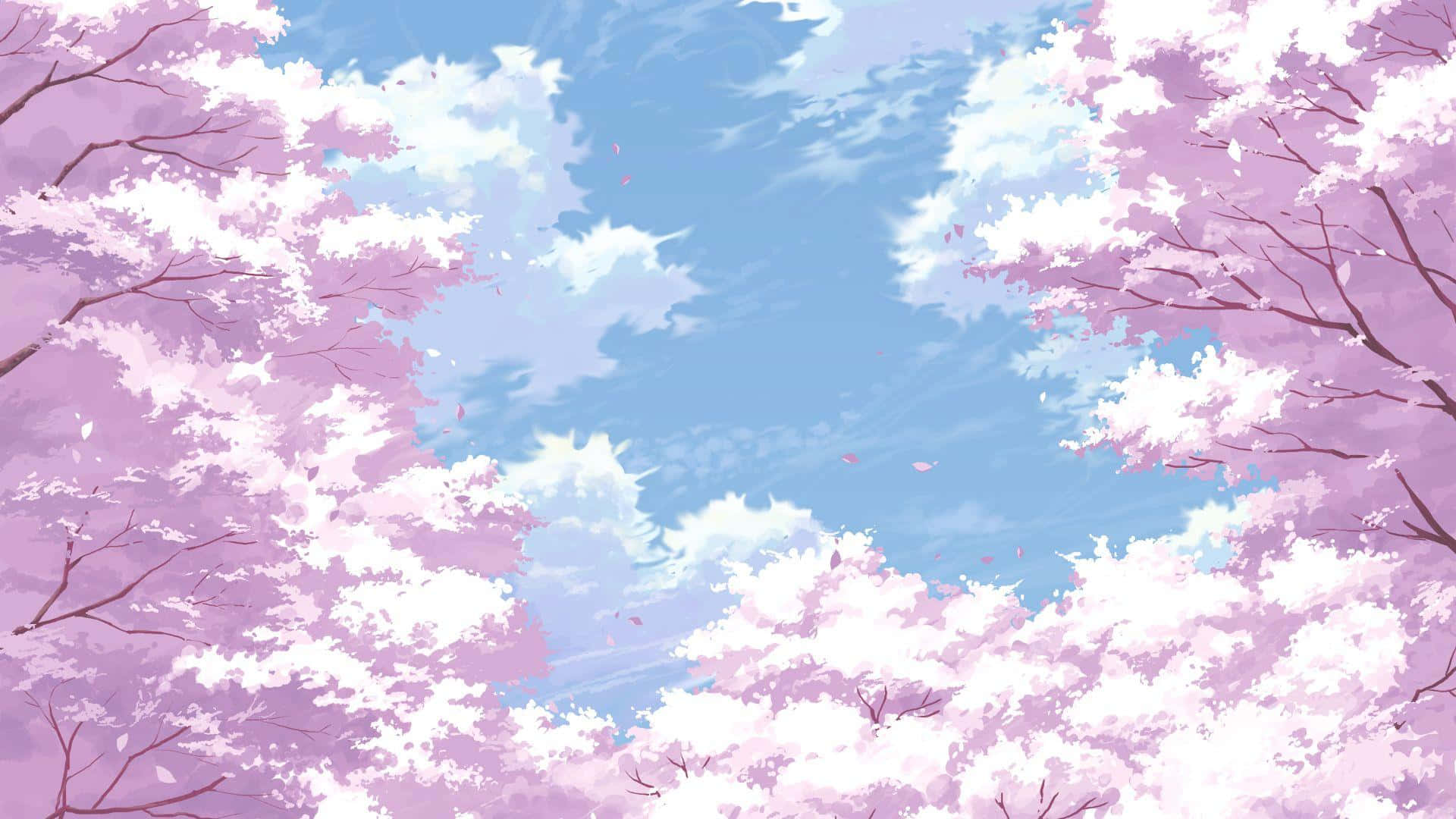 Download Cherry Blossoms Anime Scenery