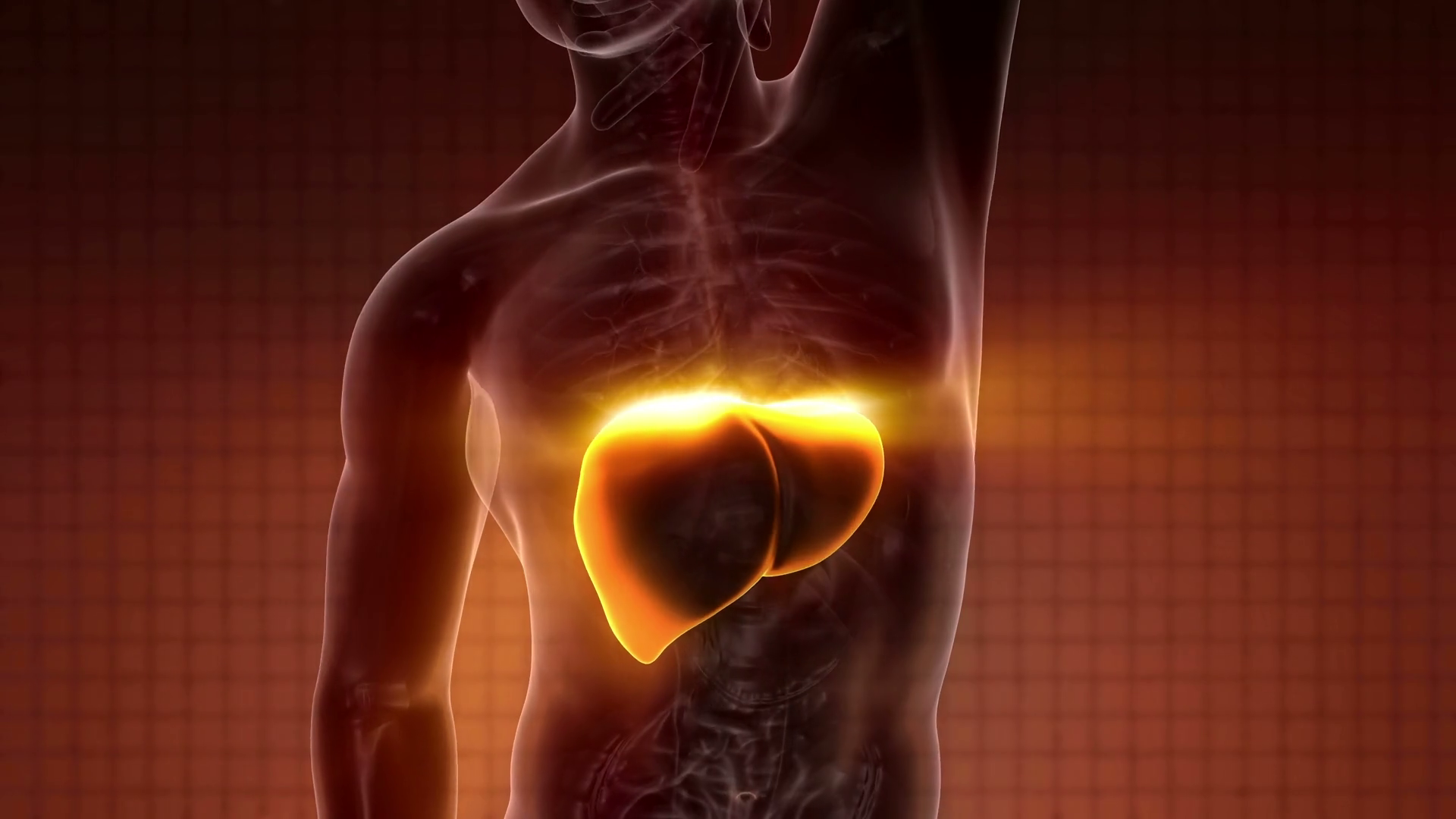 Science Anatomy Scan Of Human Liver Glowing Stock Motion Graphics SBV 314914101