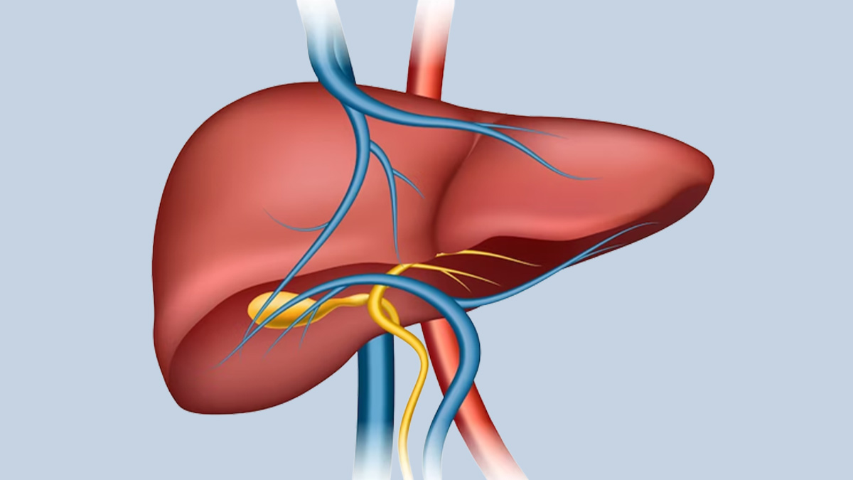 Things You Need To Know About Gallbladder Problems