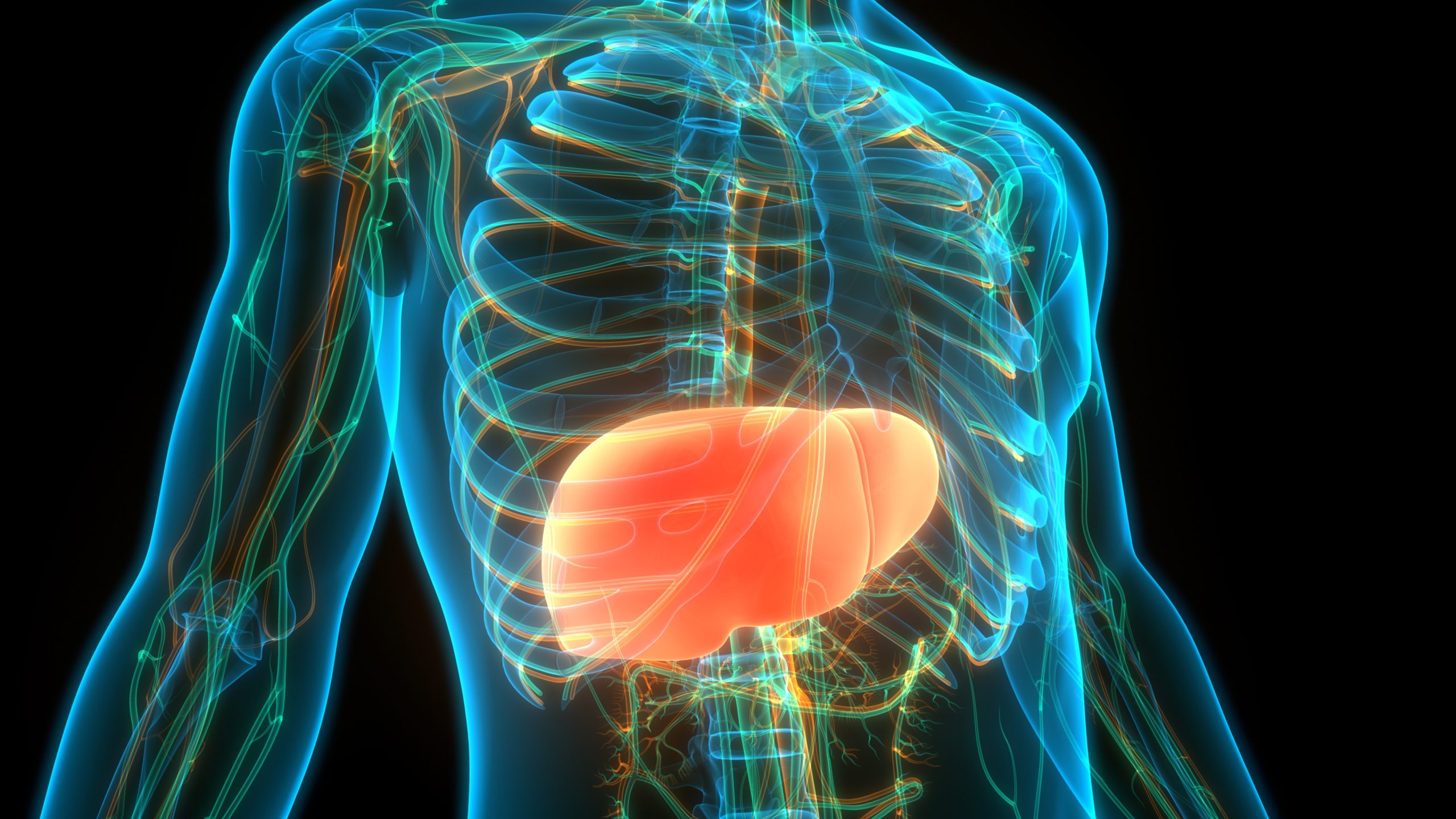 Type 2 Diabetes and Your Liver