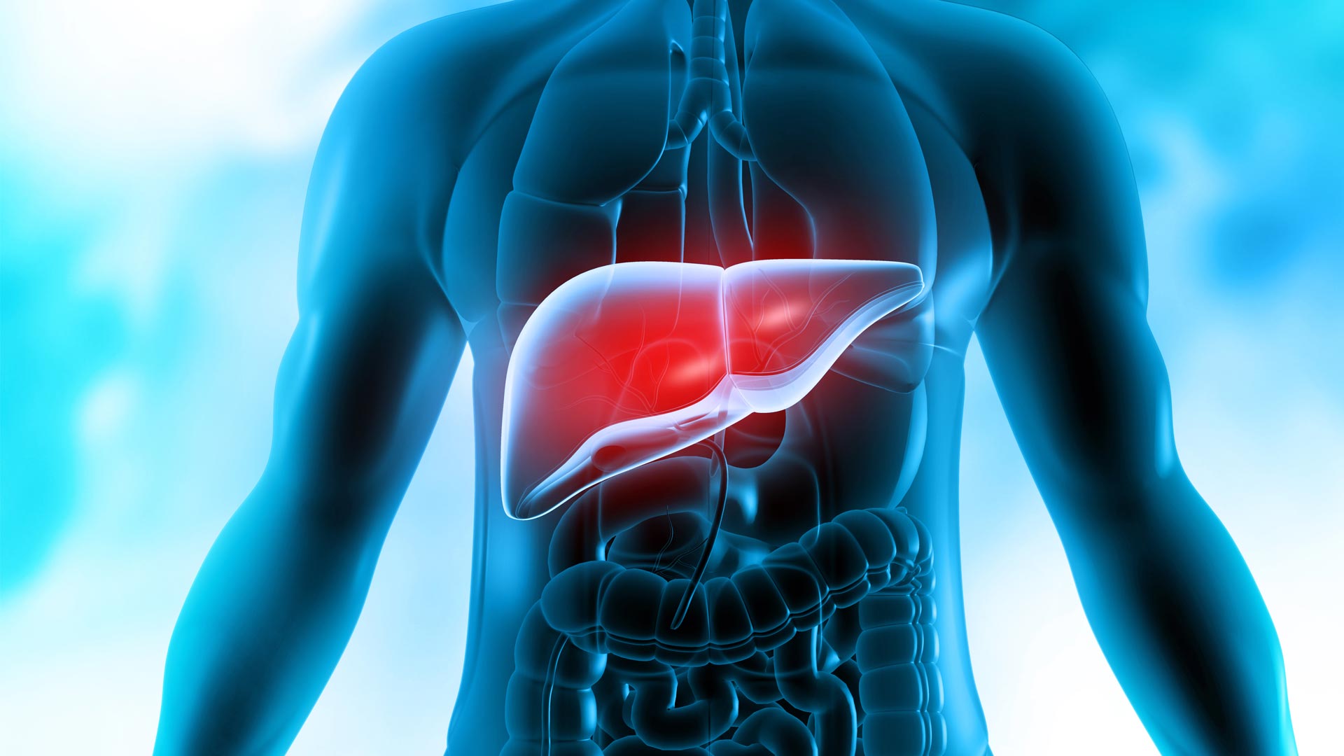 Using Cells to Treat Acute Liver Failure. Newsroom. Albert Einstein College of Medicine