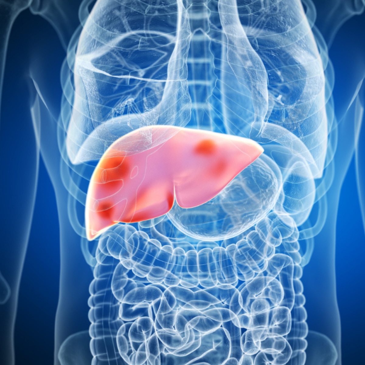 foods to help you maintain a healthy liver