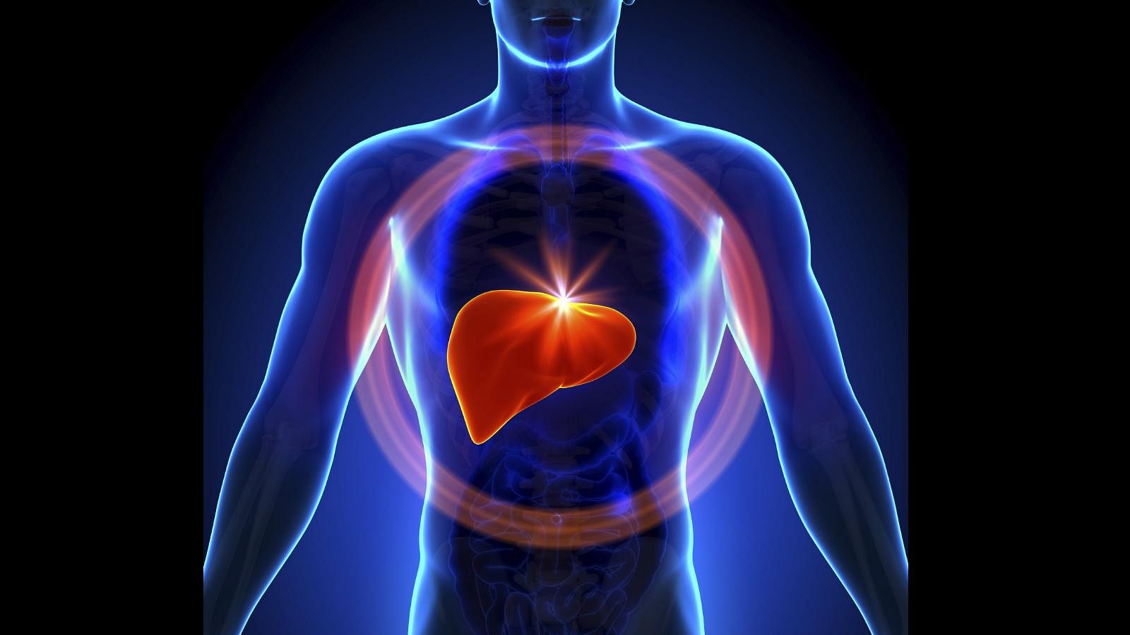 Fatty Liver: Types, Causes, Symptoms, Diagnosis, and Treatment