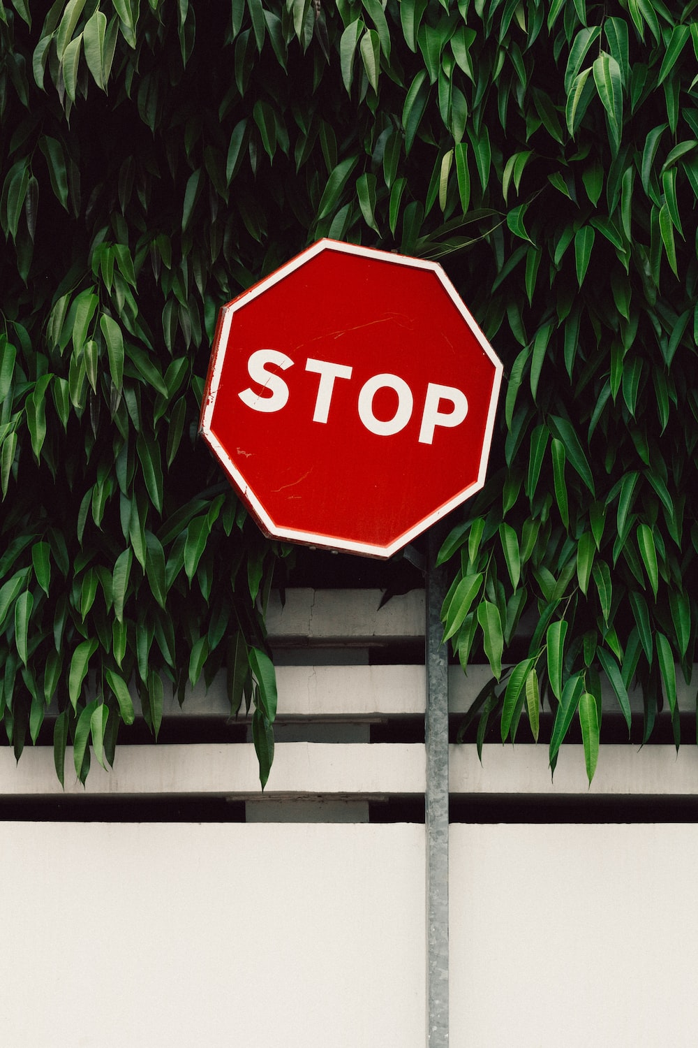 Traffic Signs Picture. Download Free Image