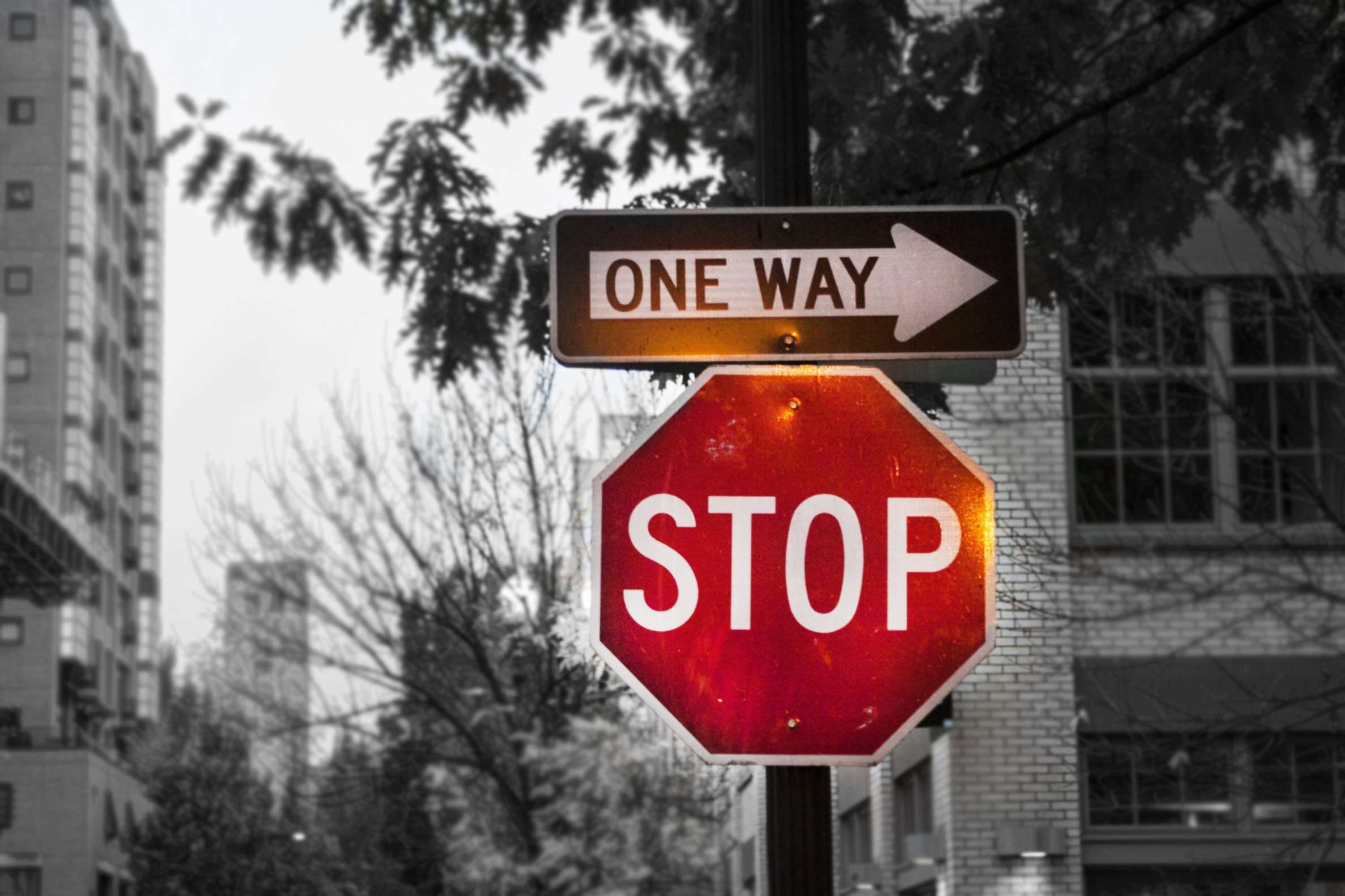 black and white #monochrome #monochrome photography #one way #sign #stop #stop sign #street. Street signs photography, Sign photography, Art school inspiration