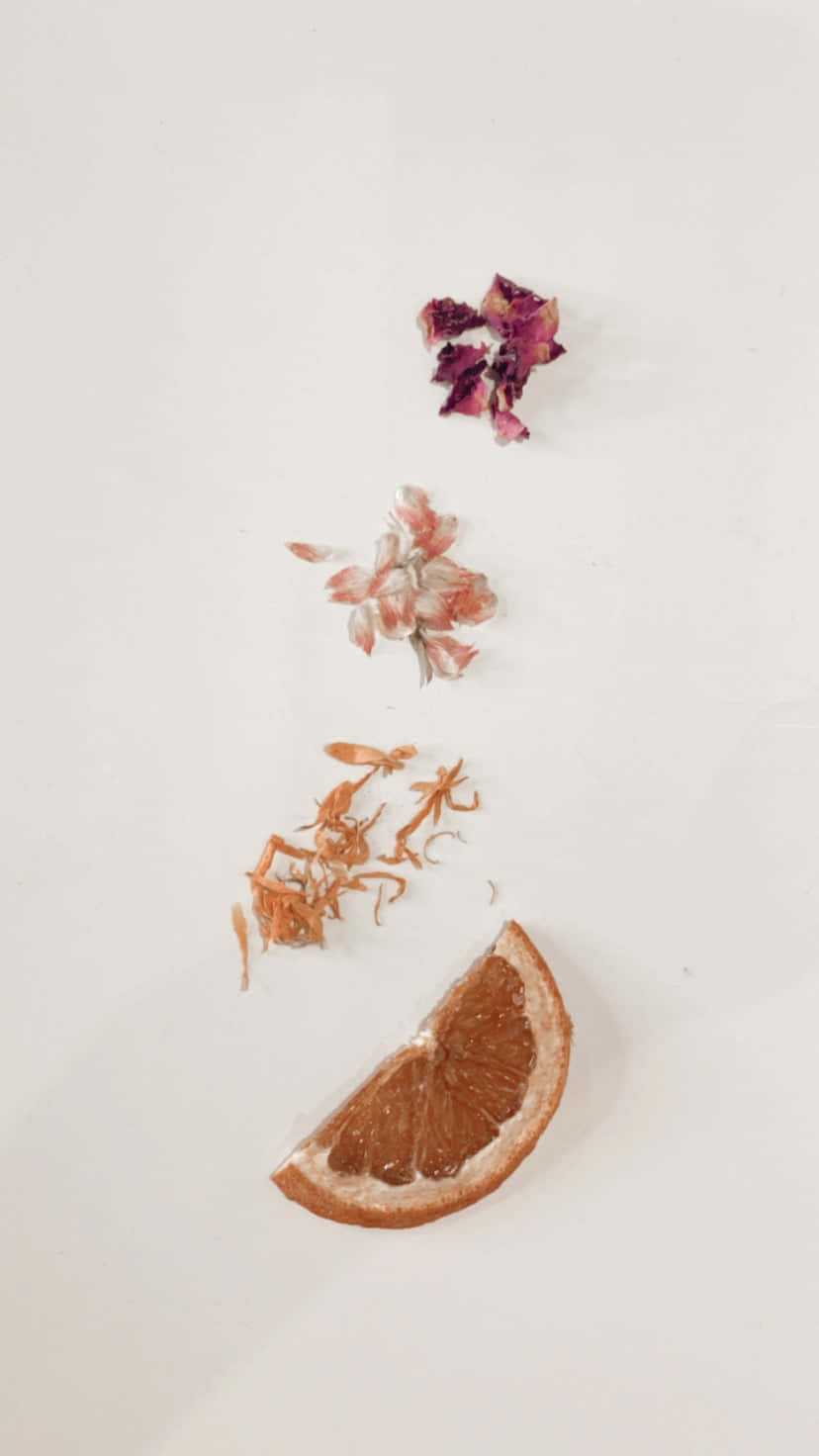 Minimalist Autumn Wallpaper