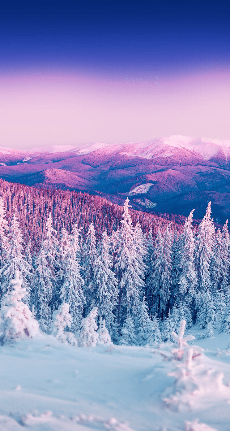Download Embrace the chill of winter with a Winter Phone Background