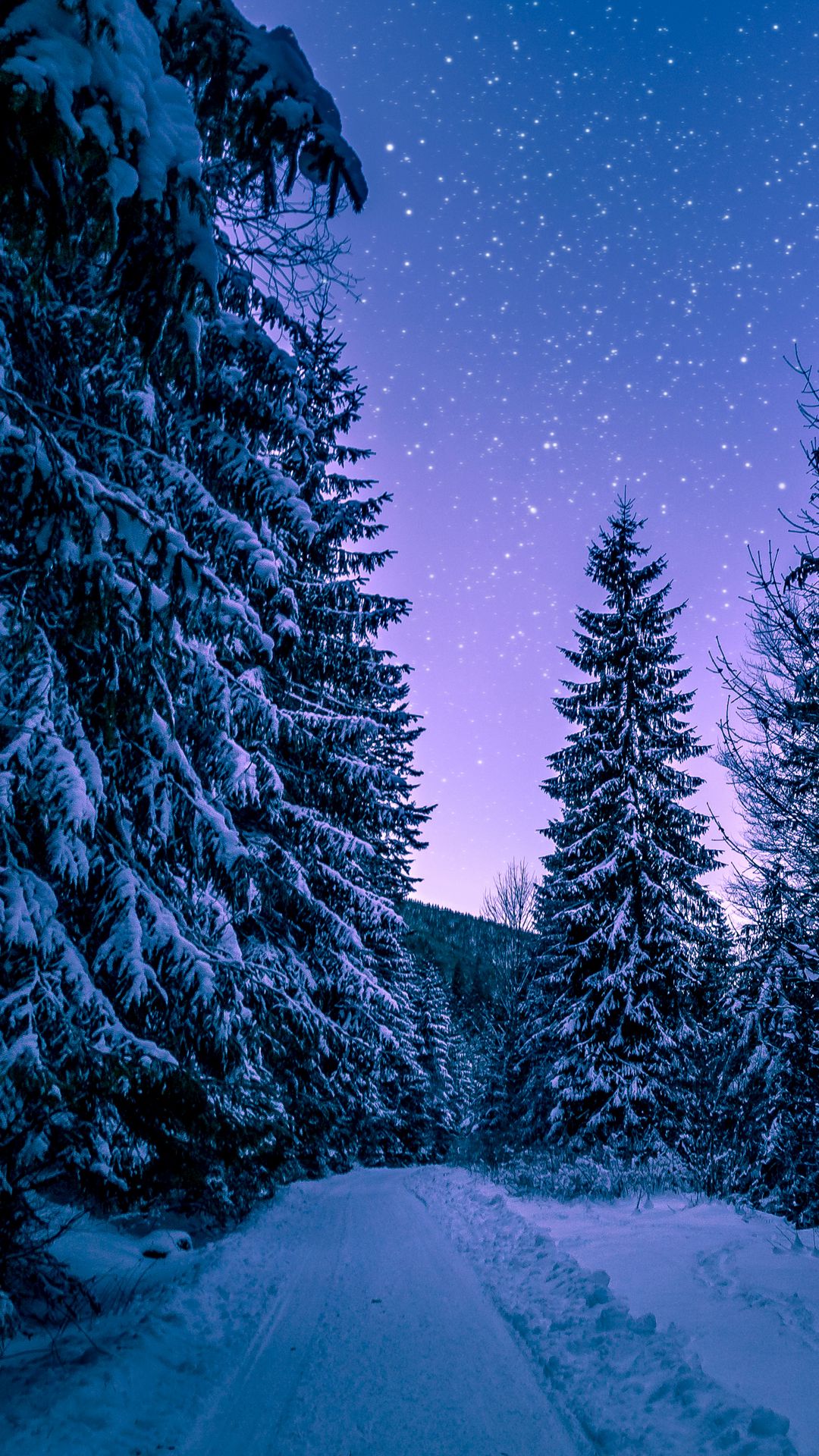 Download wallpaper 1080x1920 winter, forest, road, snow, starry sky samsung galaxy s4, s5, note, sony xperia z, z1, z2, z3, htc one, lenovo vibe HD background