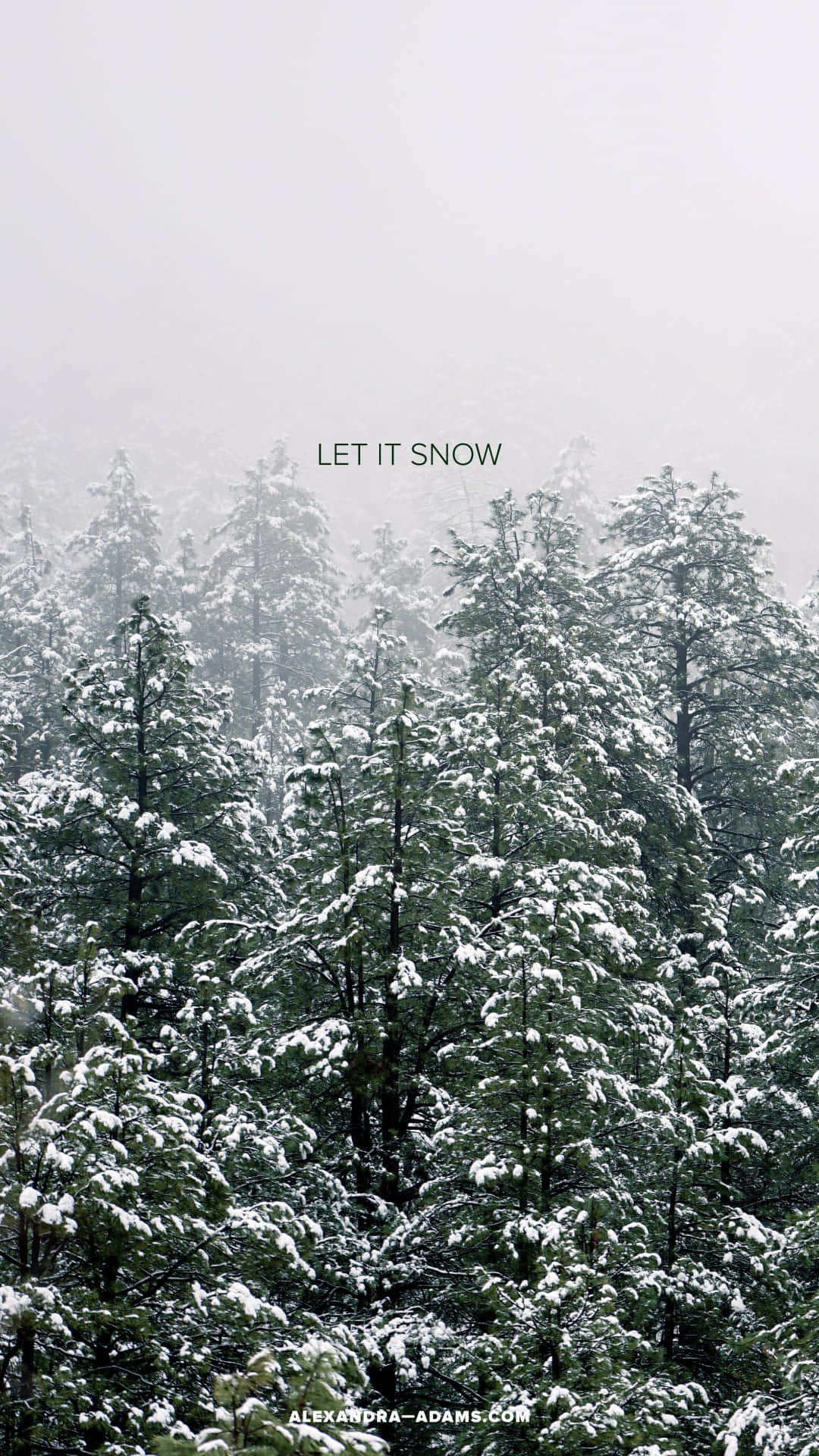 Download Enjoy the chill of winter with a scenic view
